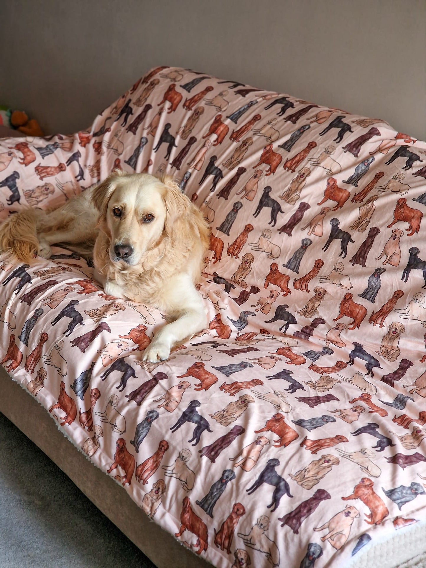 The Labrador / Retriever Human Blanket
