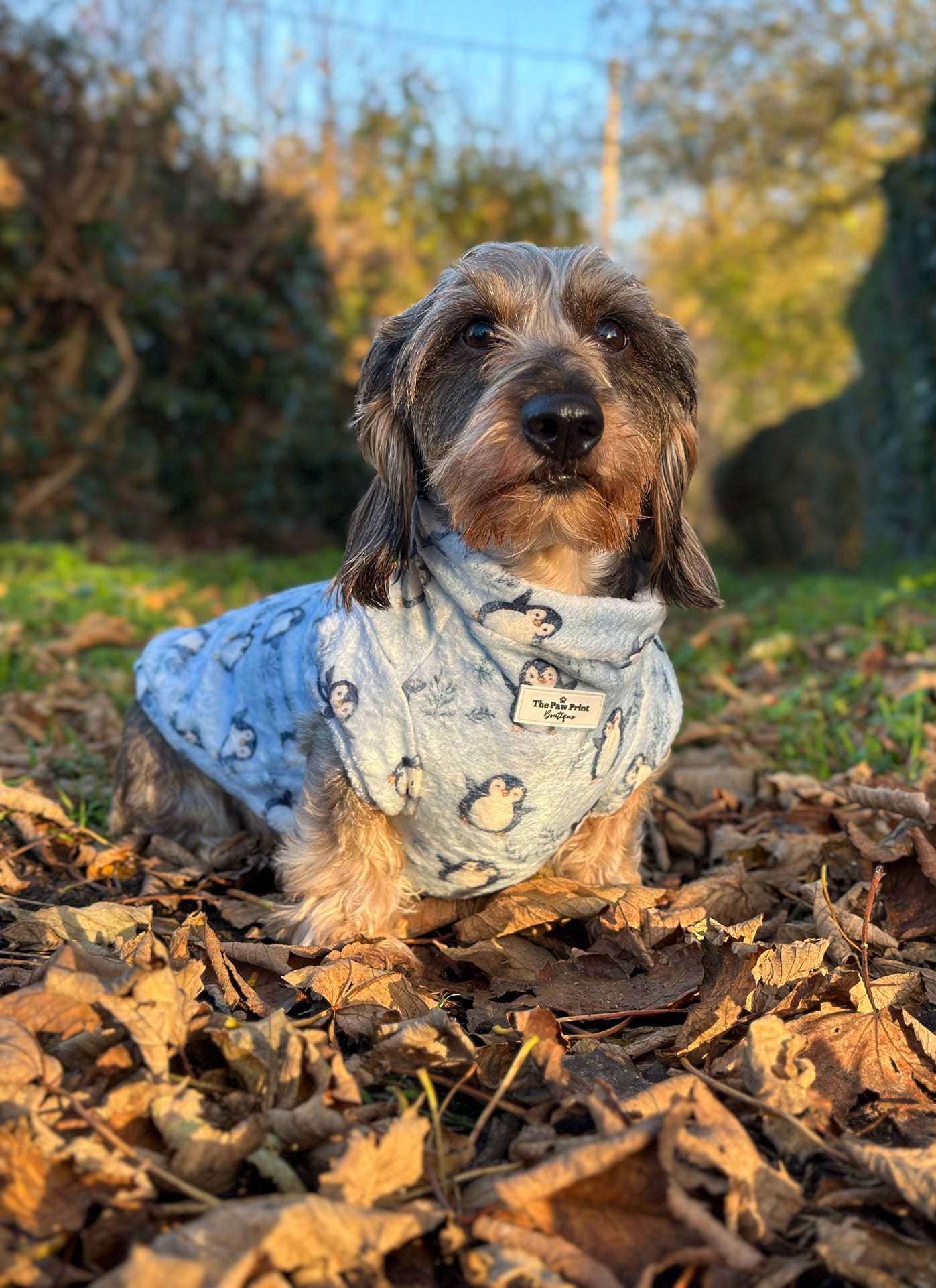 Percy Penguin Snuggle Fleece