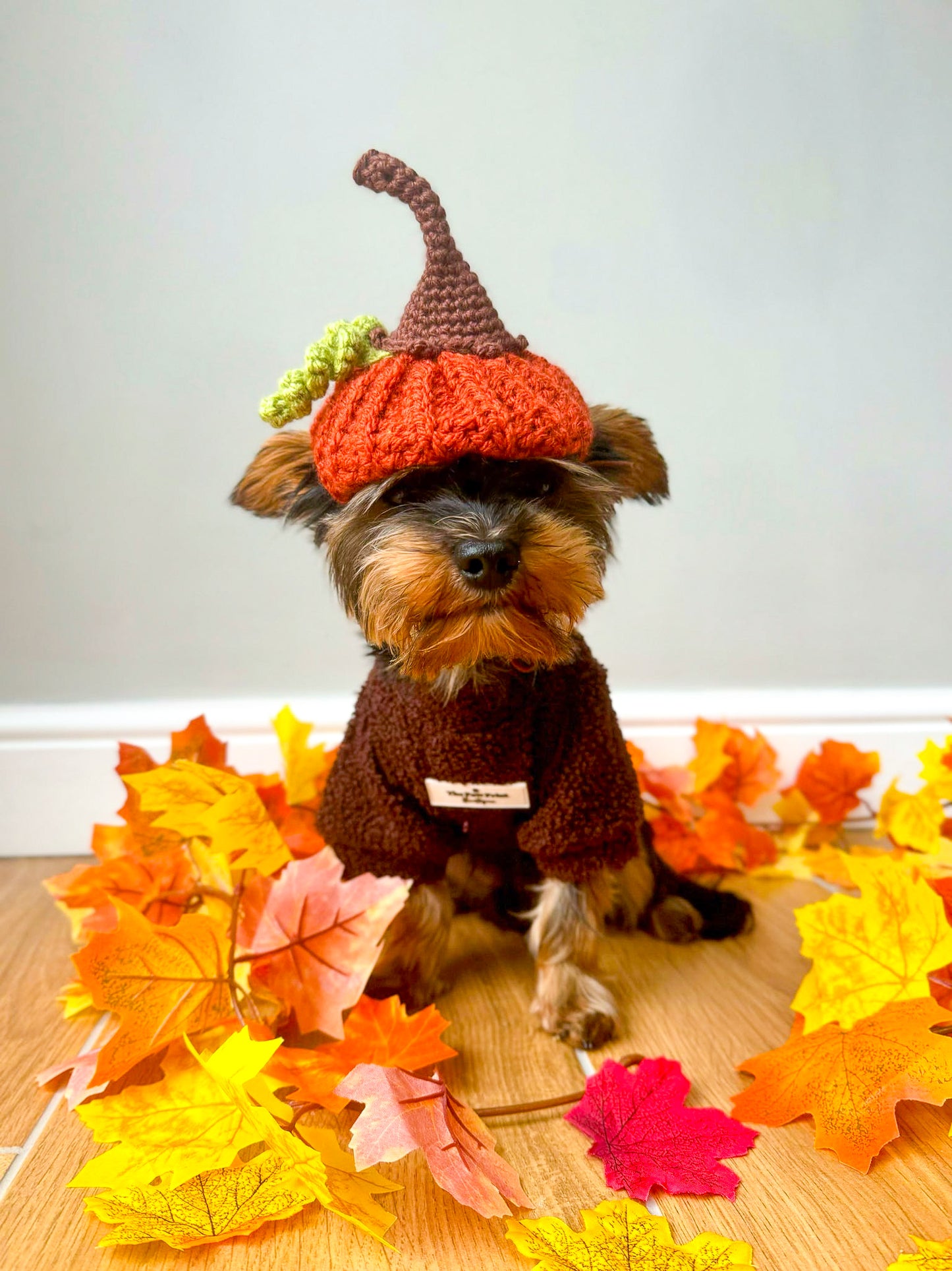 Teddy Fleece - Chocolate