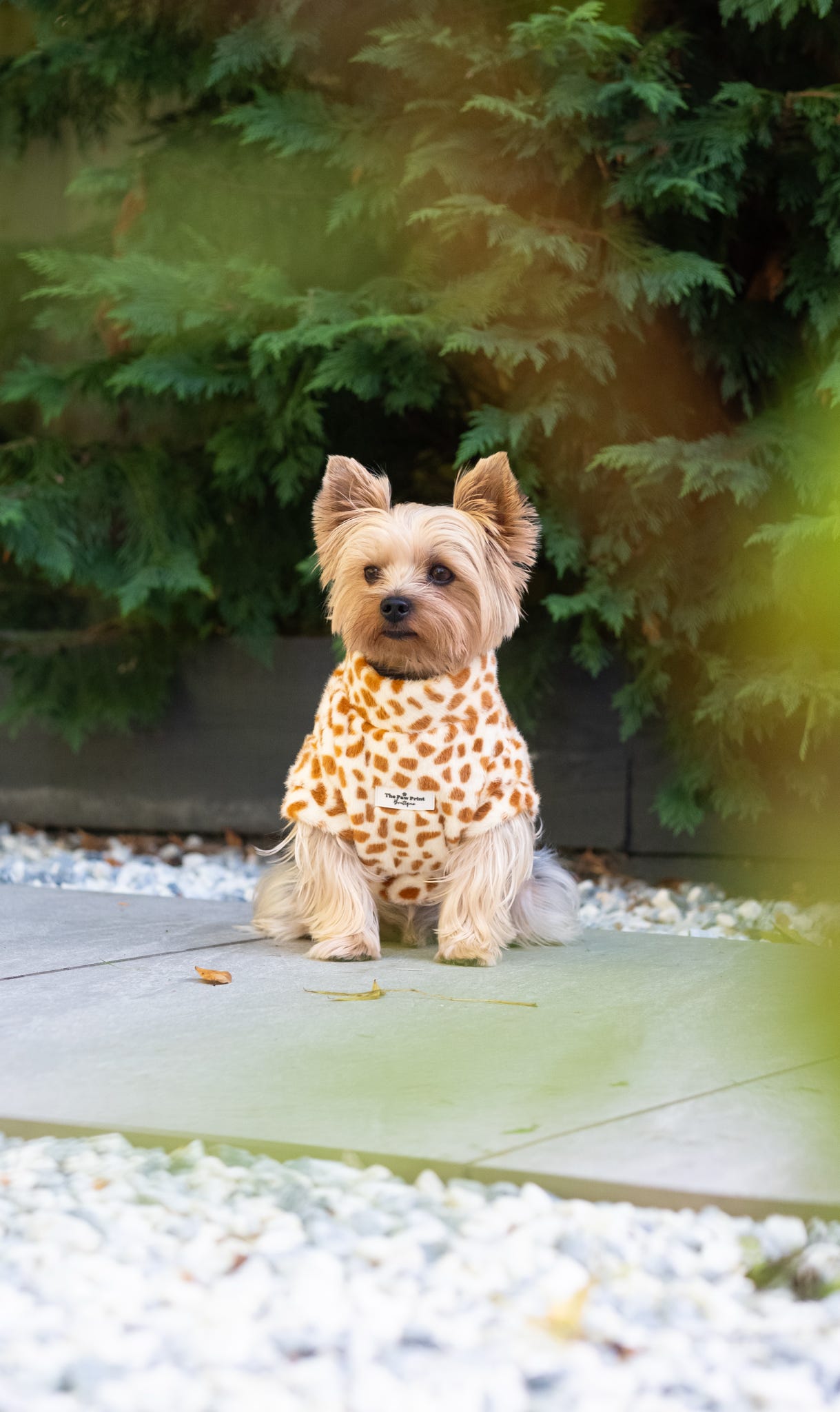 The Giraffe Print Fluffy & Fabulous Fleece