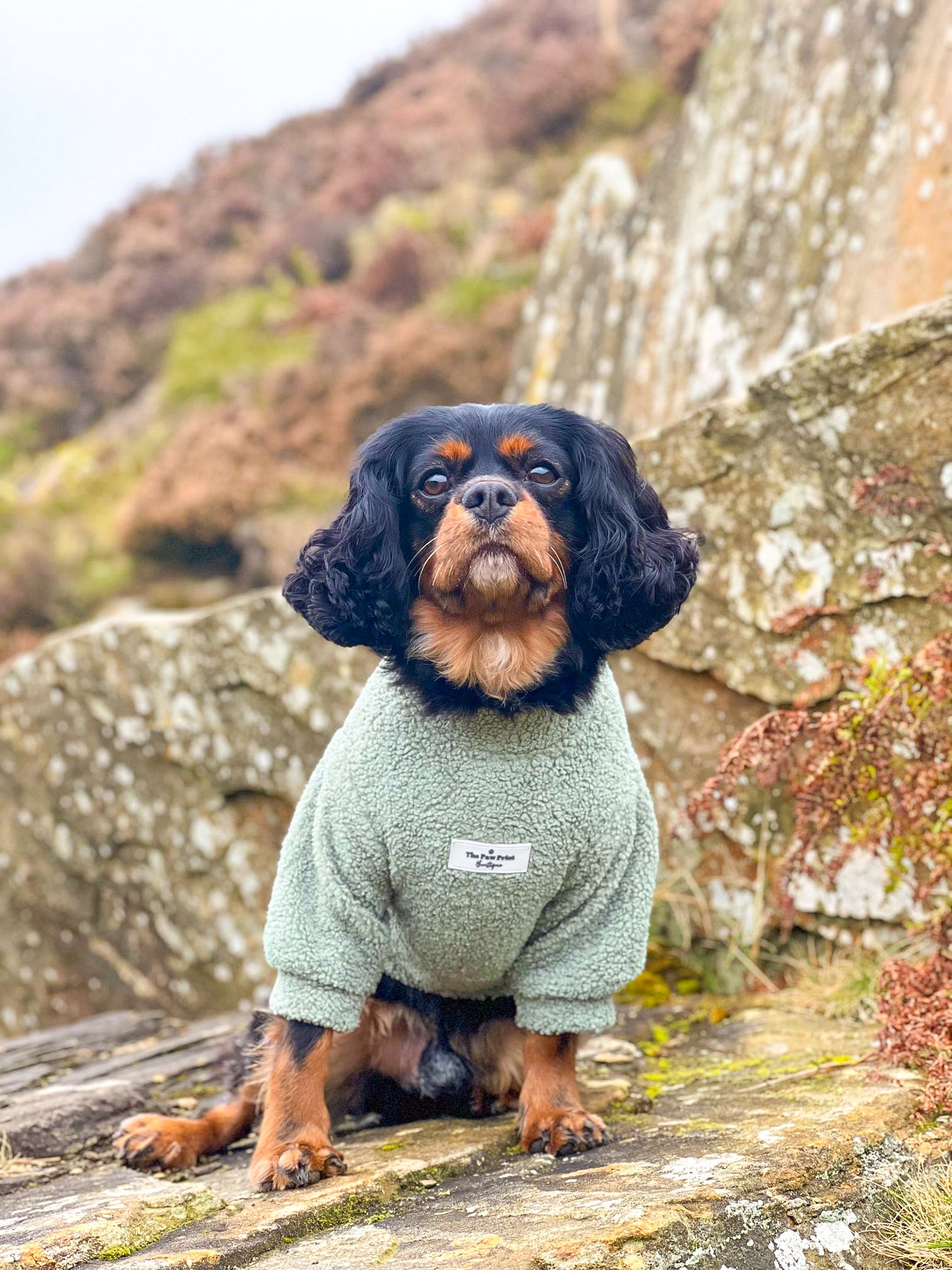 Teddy Fleece - Sage Green