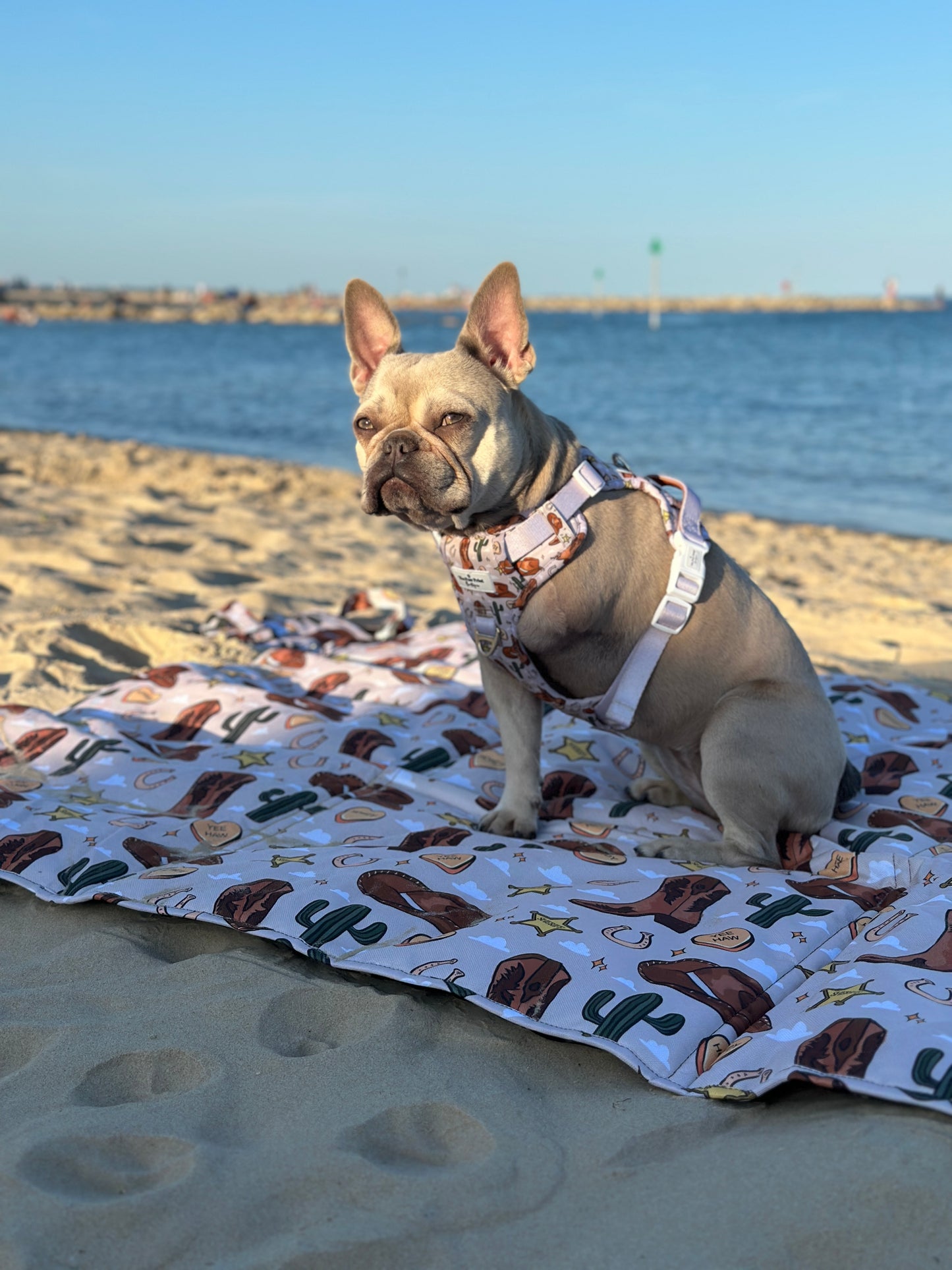 Howdy Pawtner Picnic Mat
