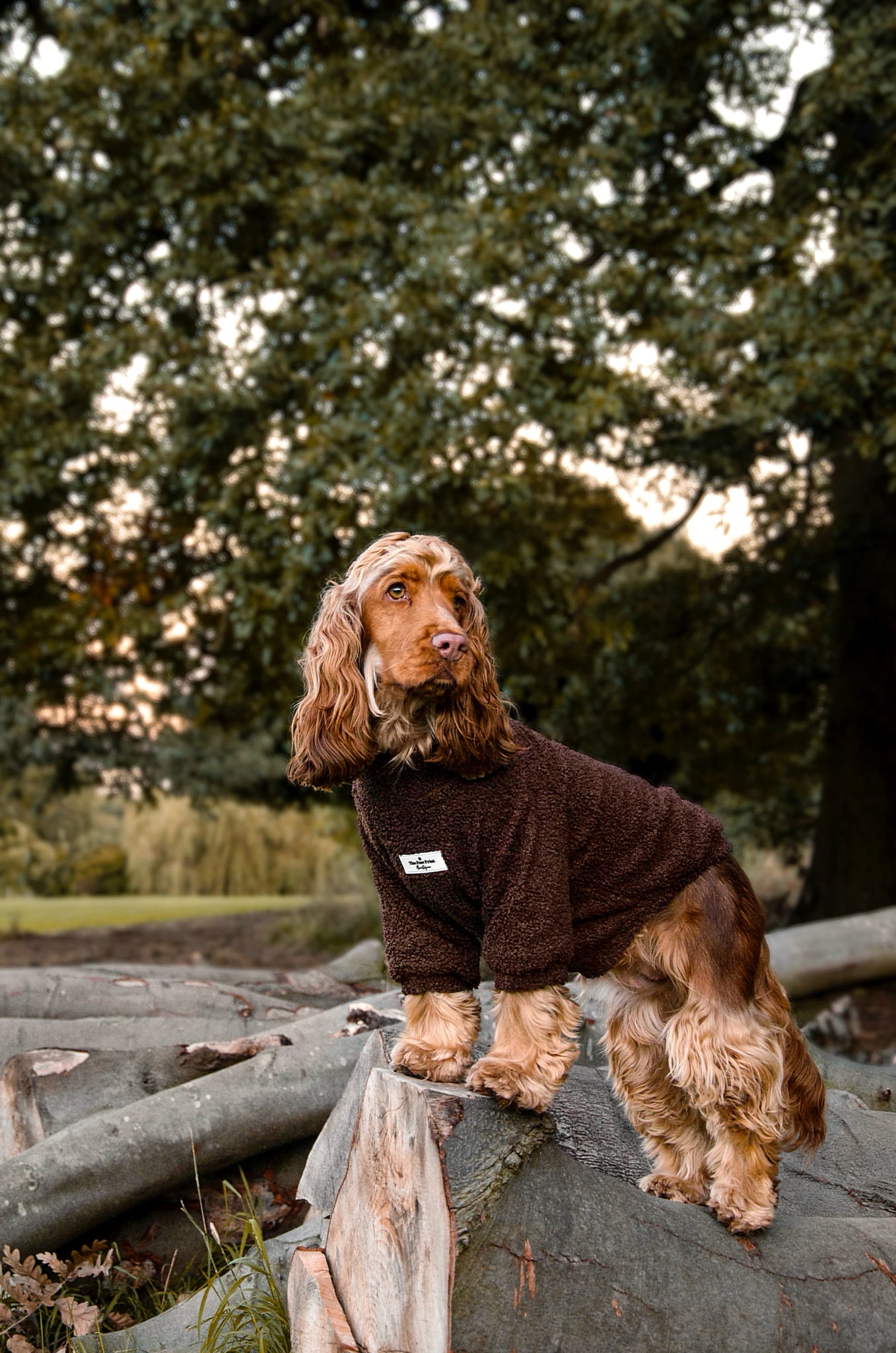 Teddy Fleece - Chocolate