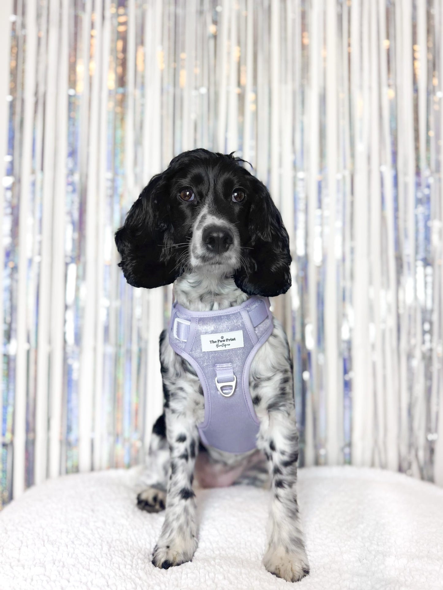 The Lavish Lilac Adventure Paws Harness