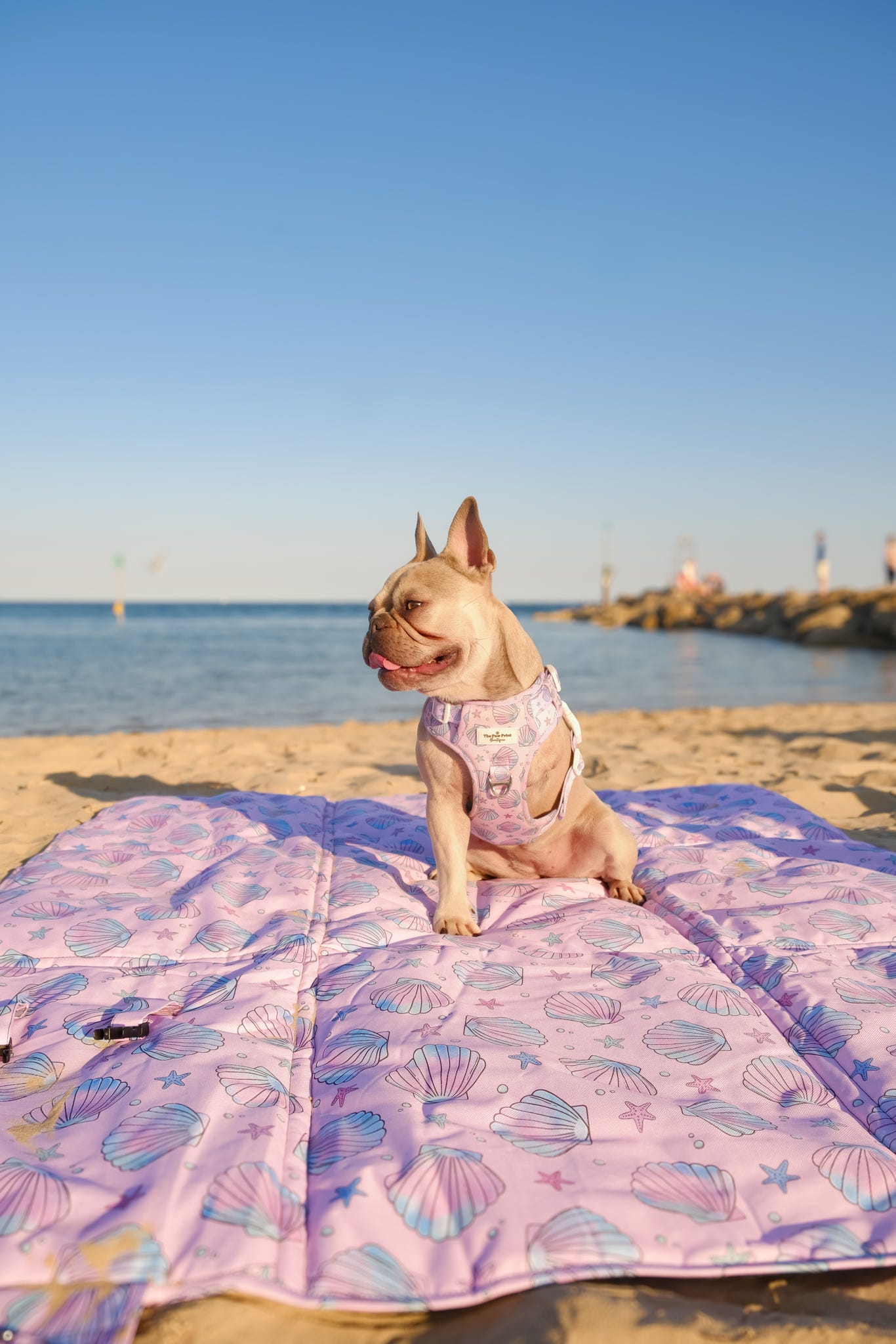 Mermaids Tails Picnic Mat