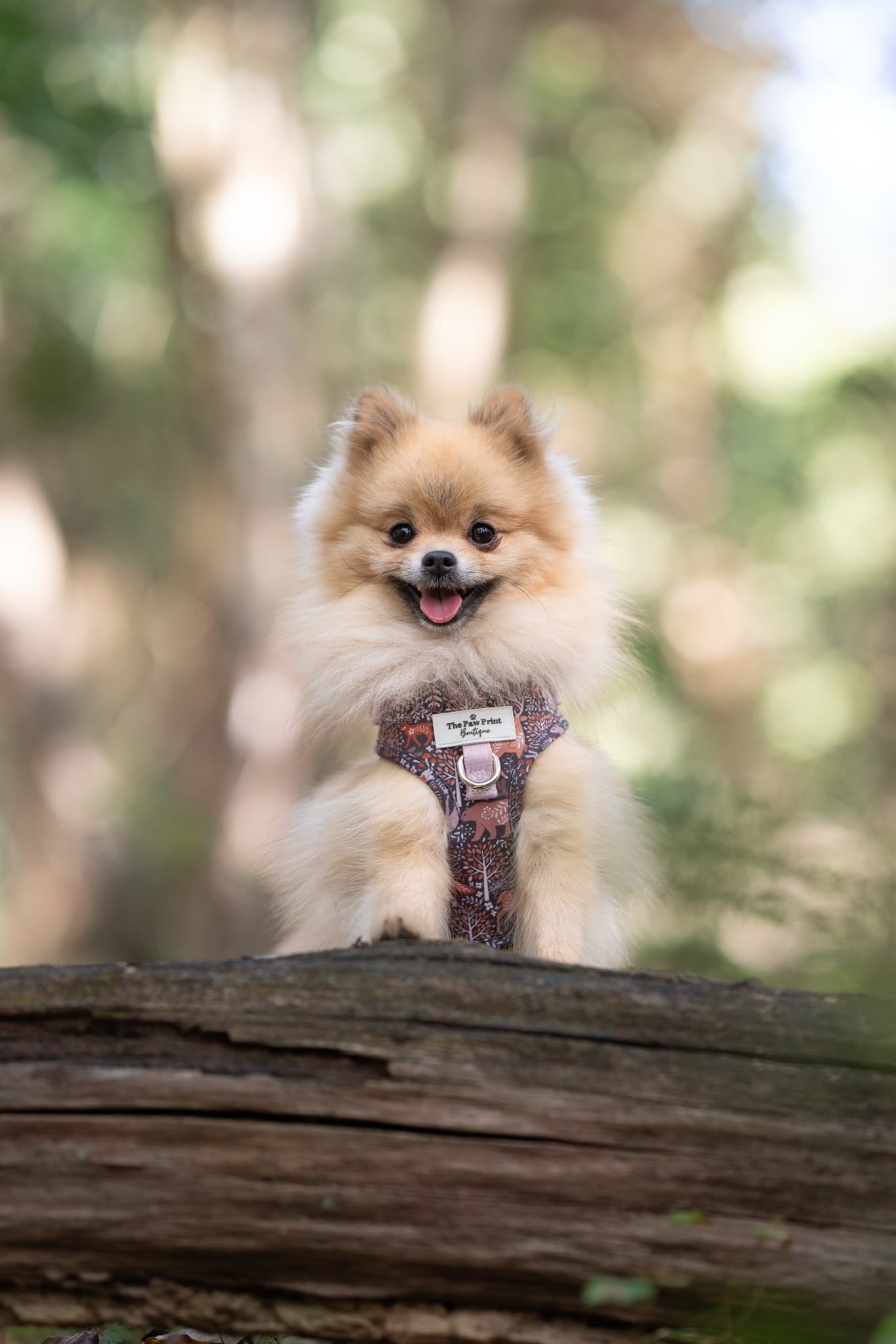 Woodland Wilderness Adjustable Harness
