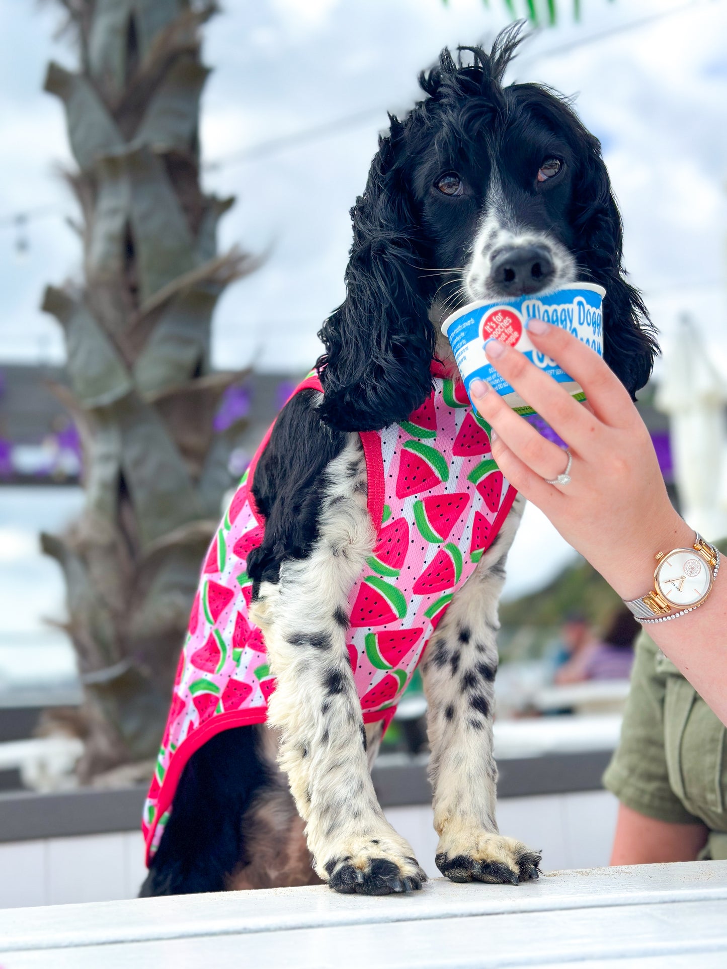The Watermelon Sugar Cooling Vest