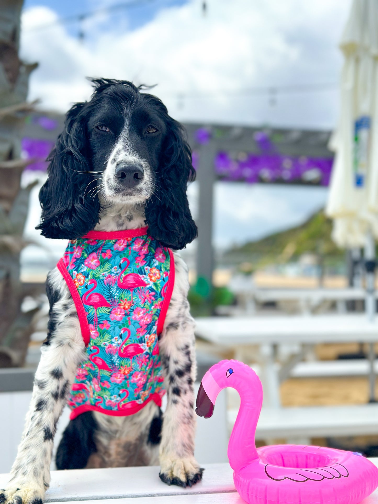 The Tropical Pawradise Cooling Vest