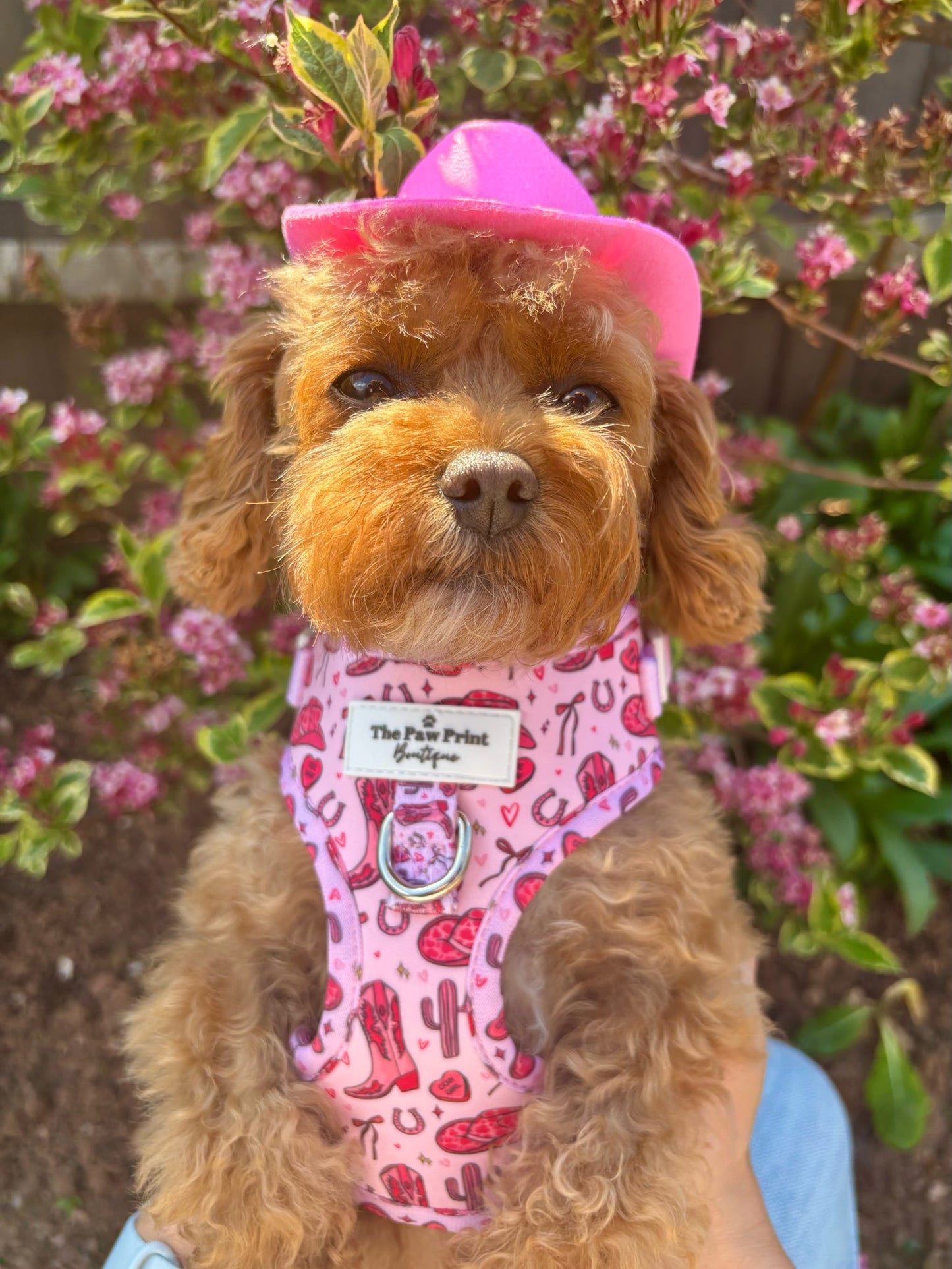 The Giddy up Pup Adjustable Harness