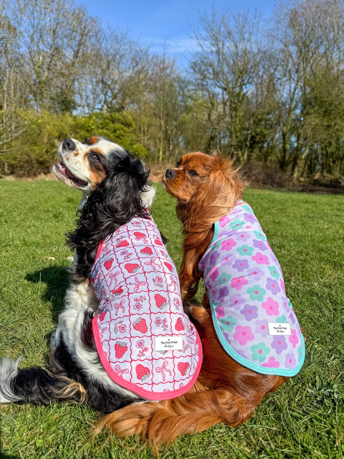 The Bows & Berries Cooling Vest