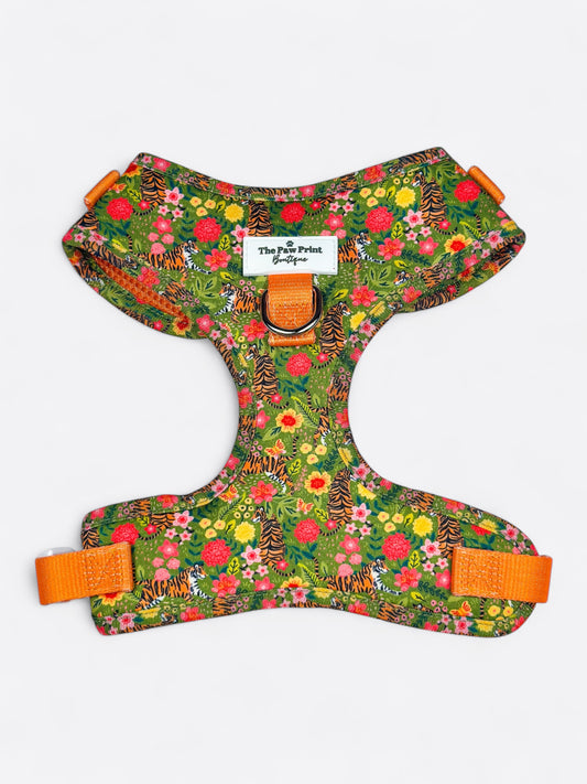 The Tiger who came to TPPB Adjustable Harness