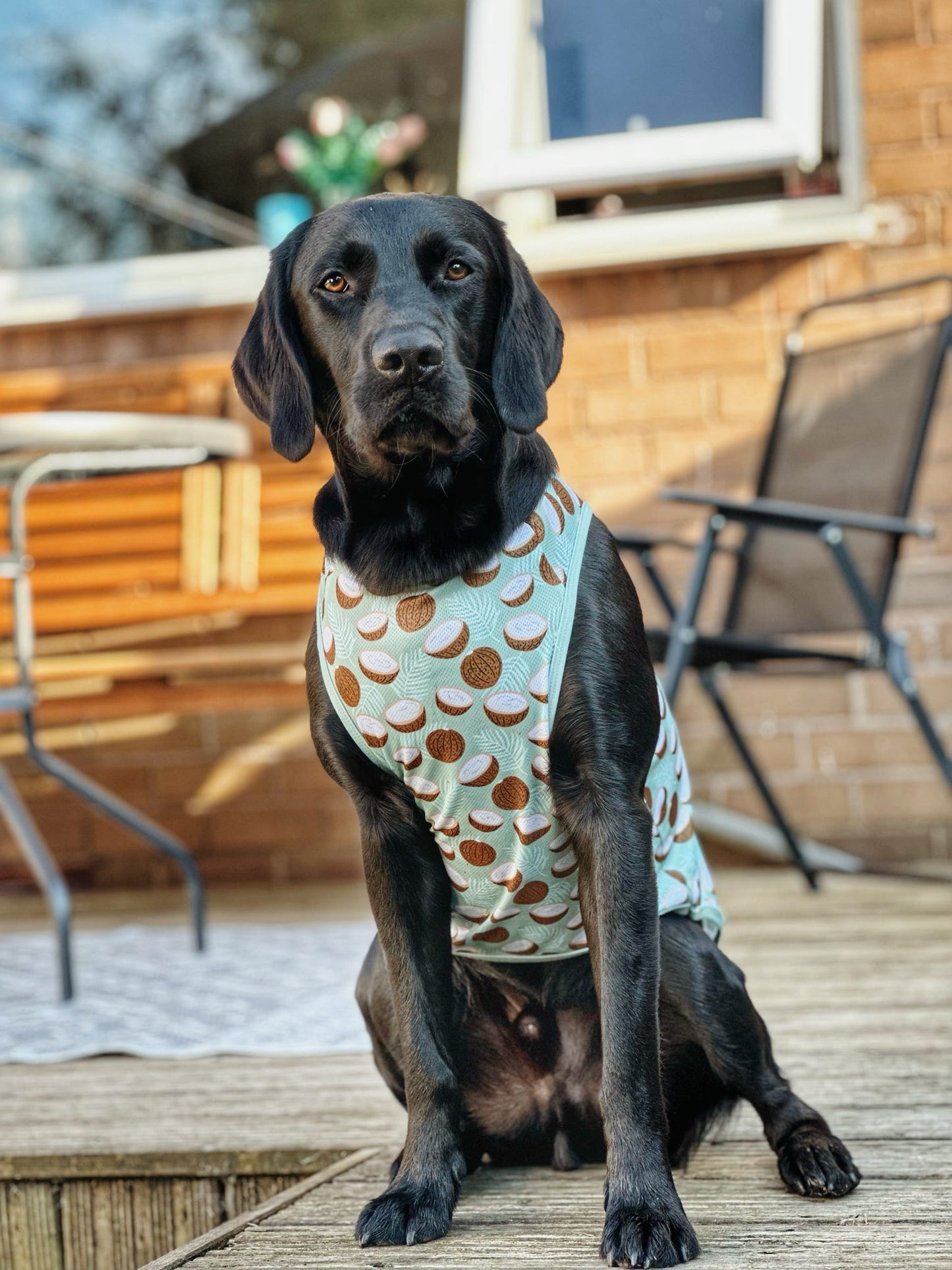 The Pina Pawlada Cooling Vest