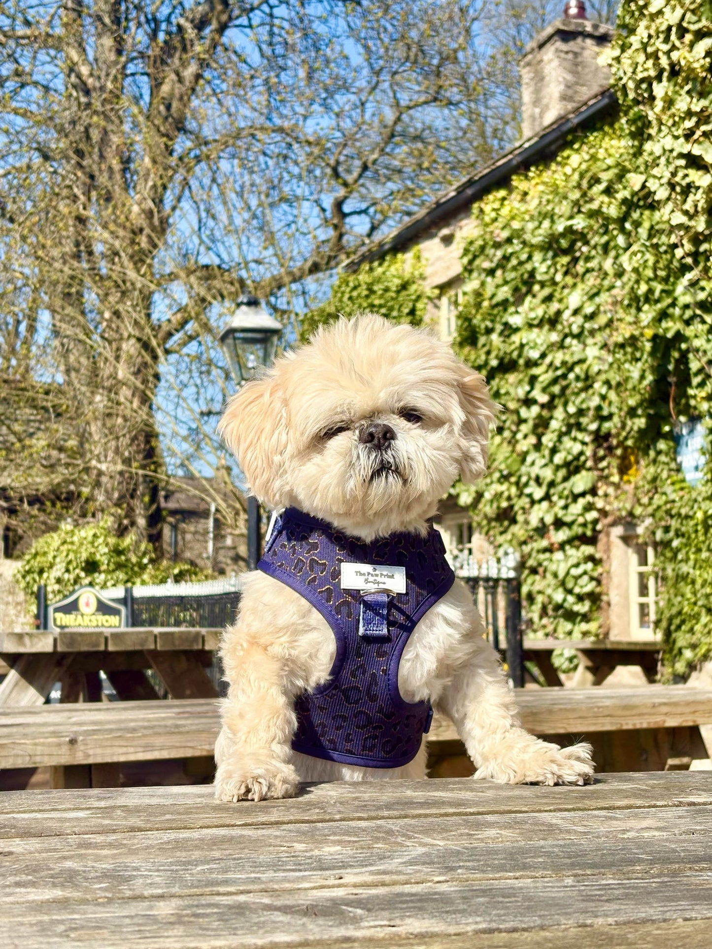 The Luxe Leopard (Navy) Adjustable Harness