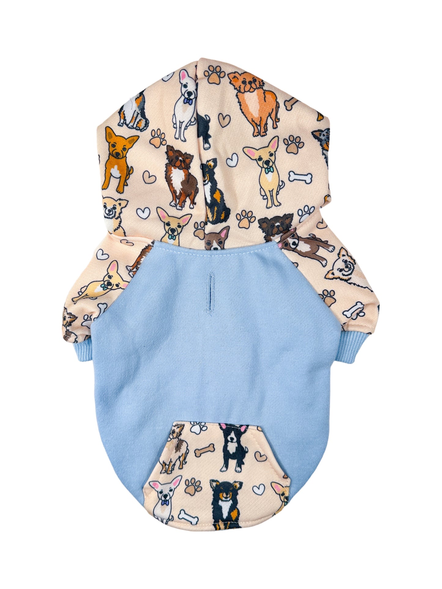 The Chihuahua Dog Hoodie - Baby Blue
