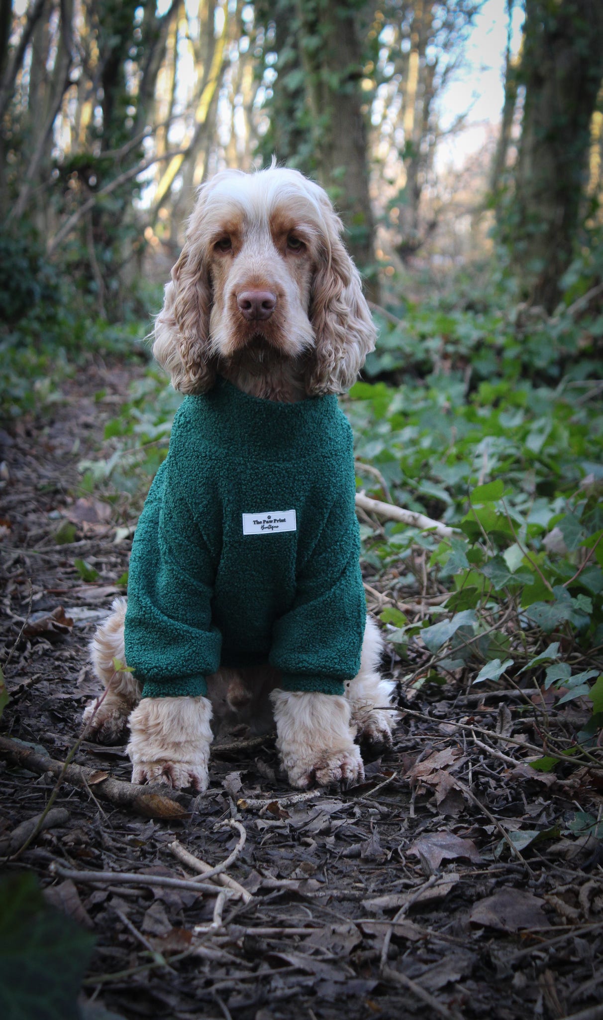 Teddy Fleece - Forest Green