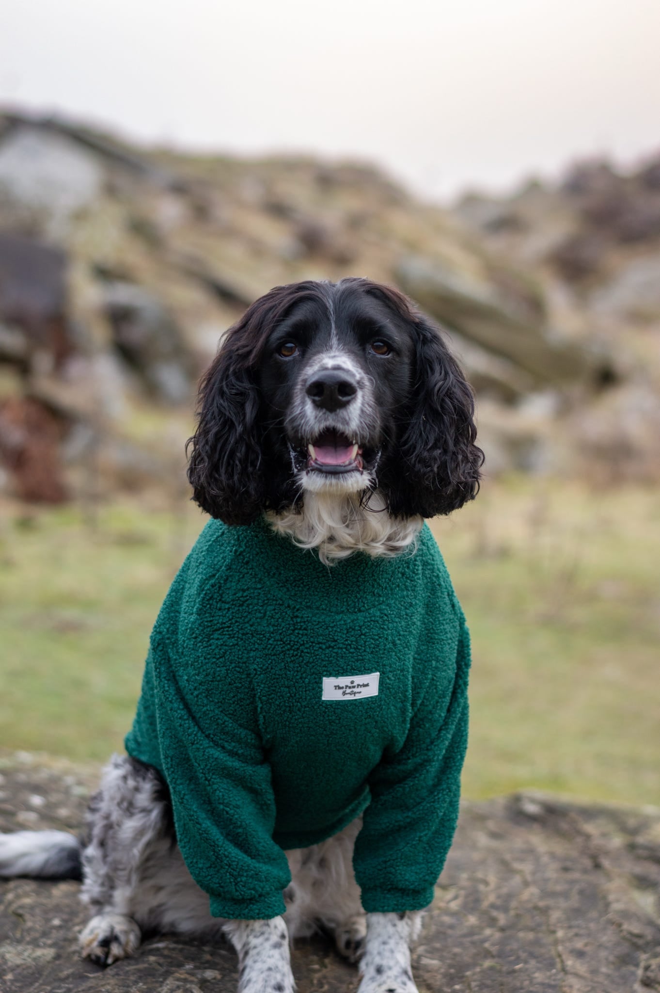 Teddy Fleece - Forest Green