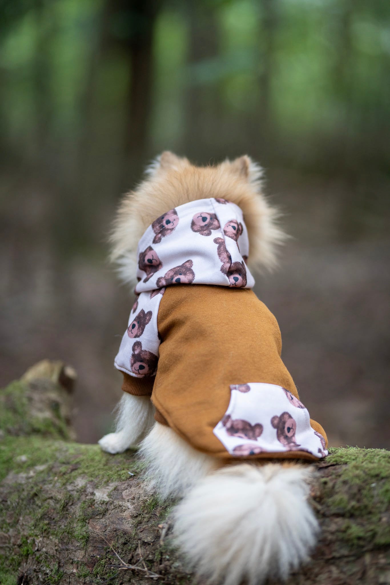The Little Bear Cub Hoodie (Brown)