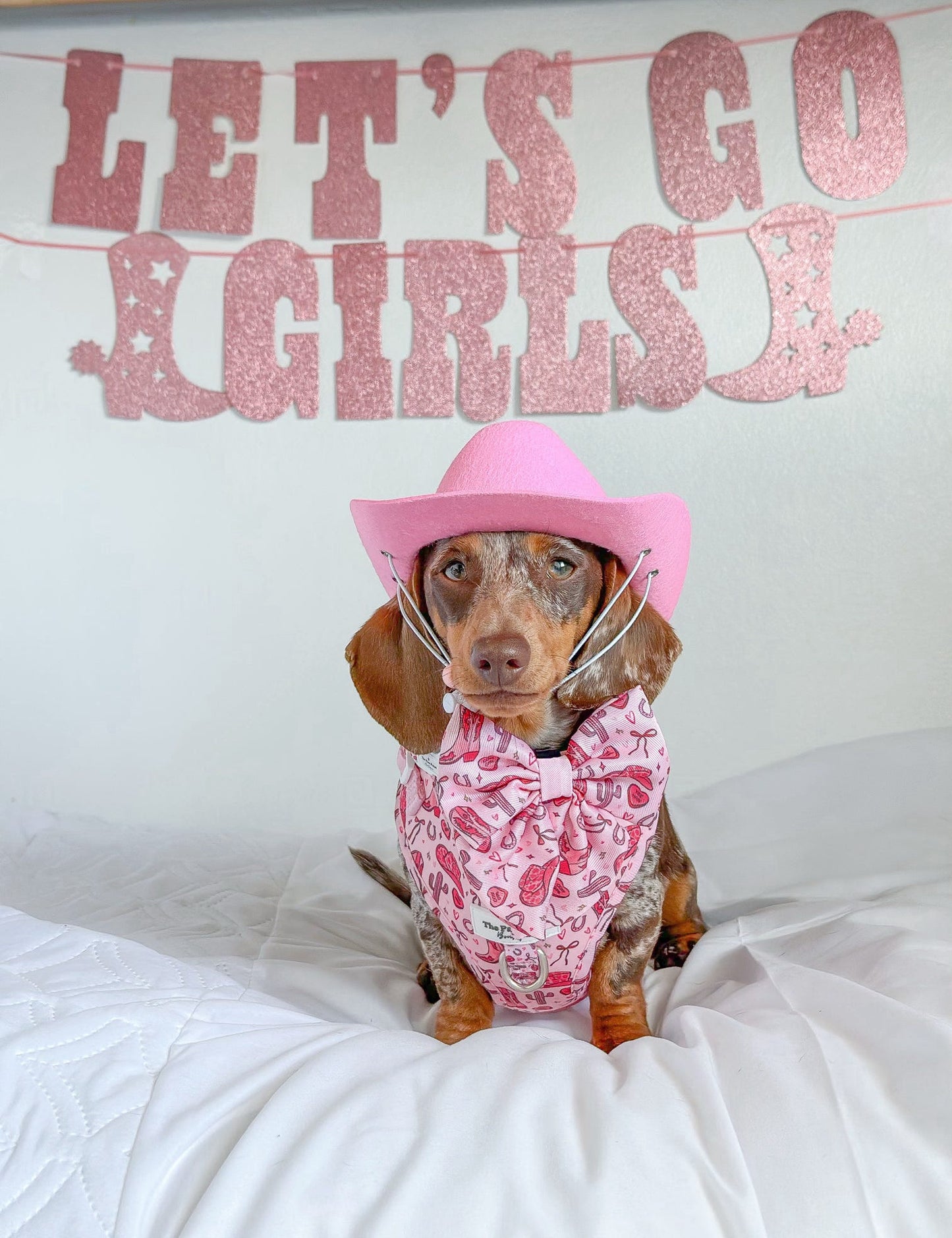 The Giddy up Pup Bow Tie