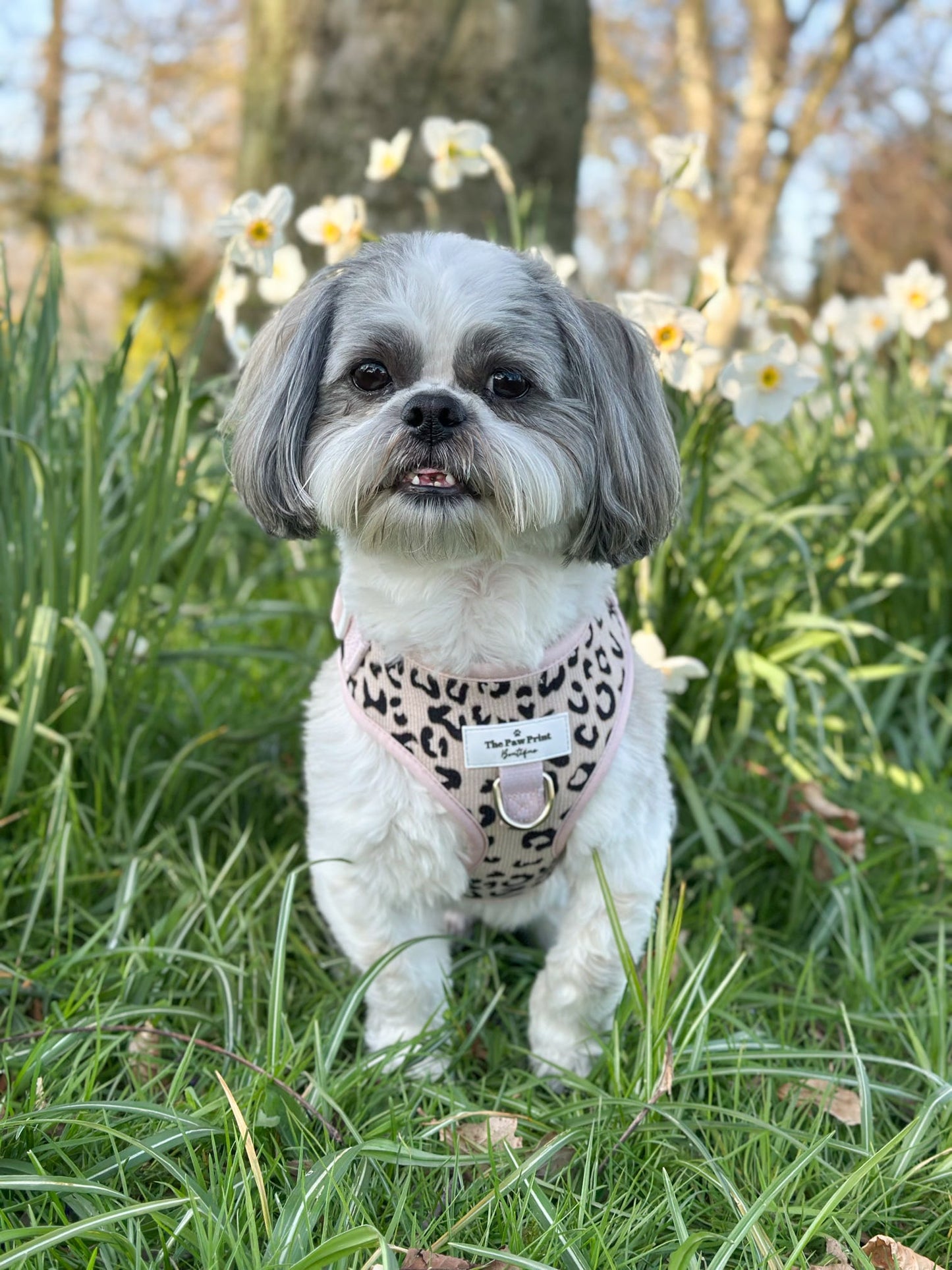 The Luxe Leopard (Beige) Adjustable Harness