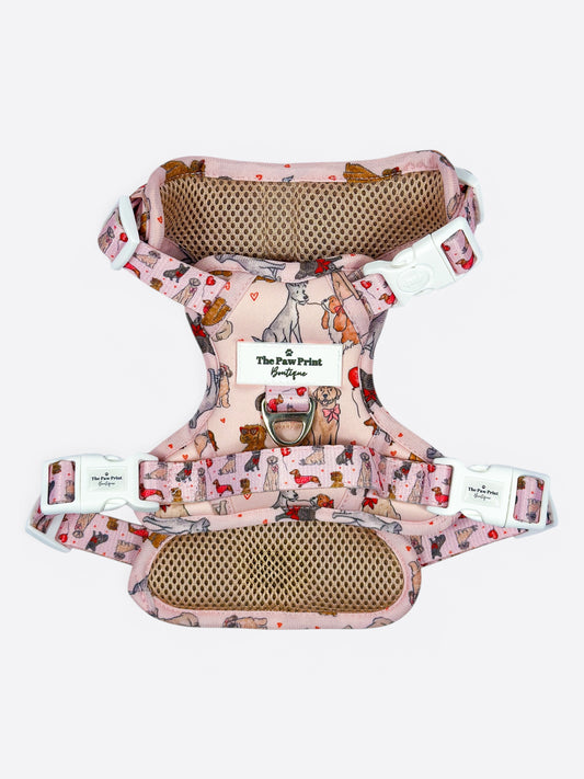 The Puppy Love Adventure Paws Harness
