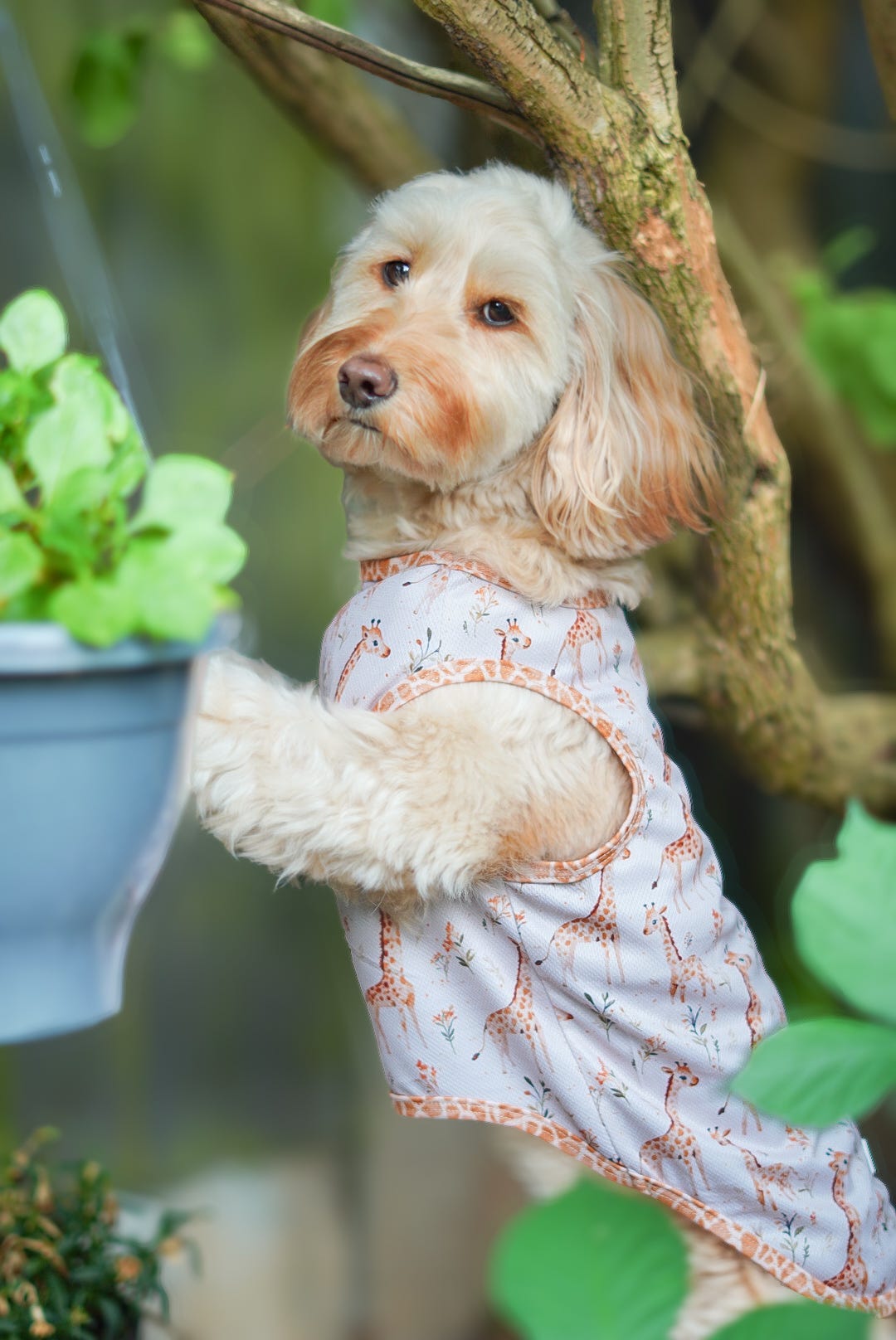 The Graceful Giraffe Cooling Vest