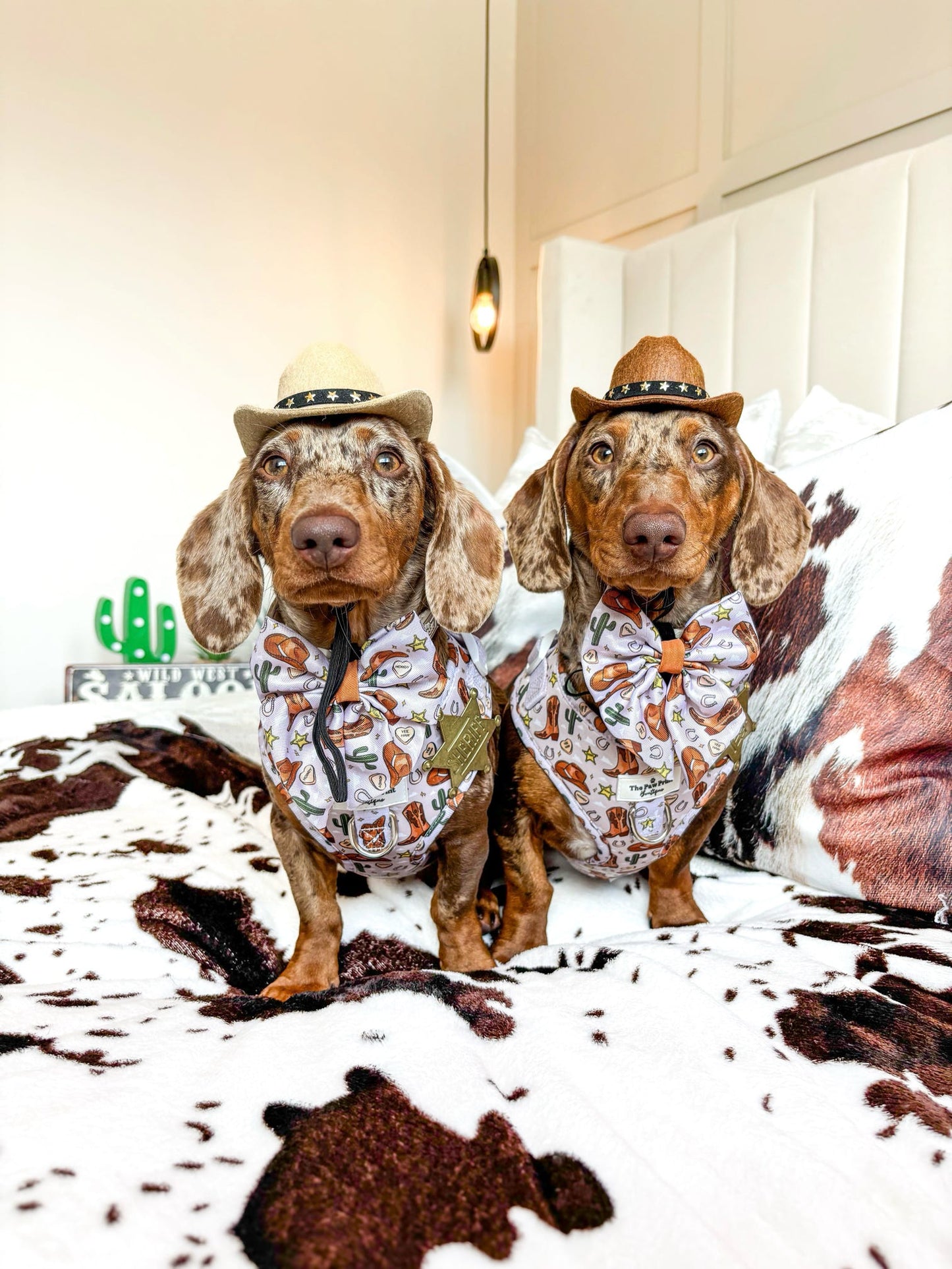 The Howdy Pawtner Adjustable Harness