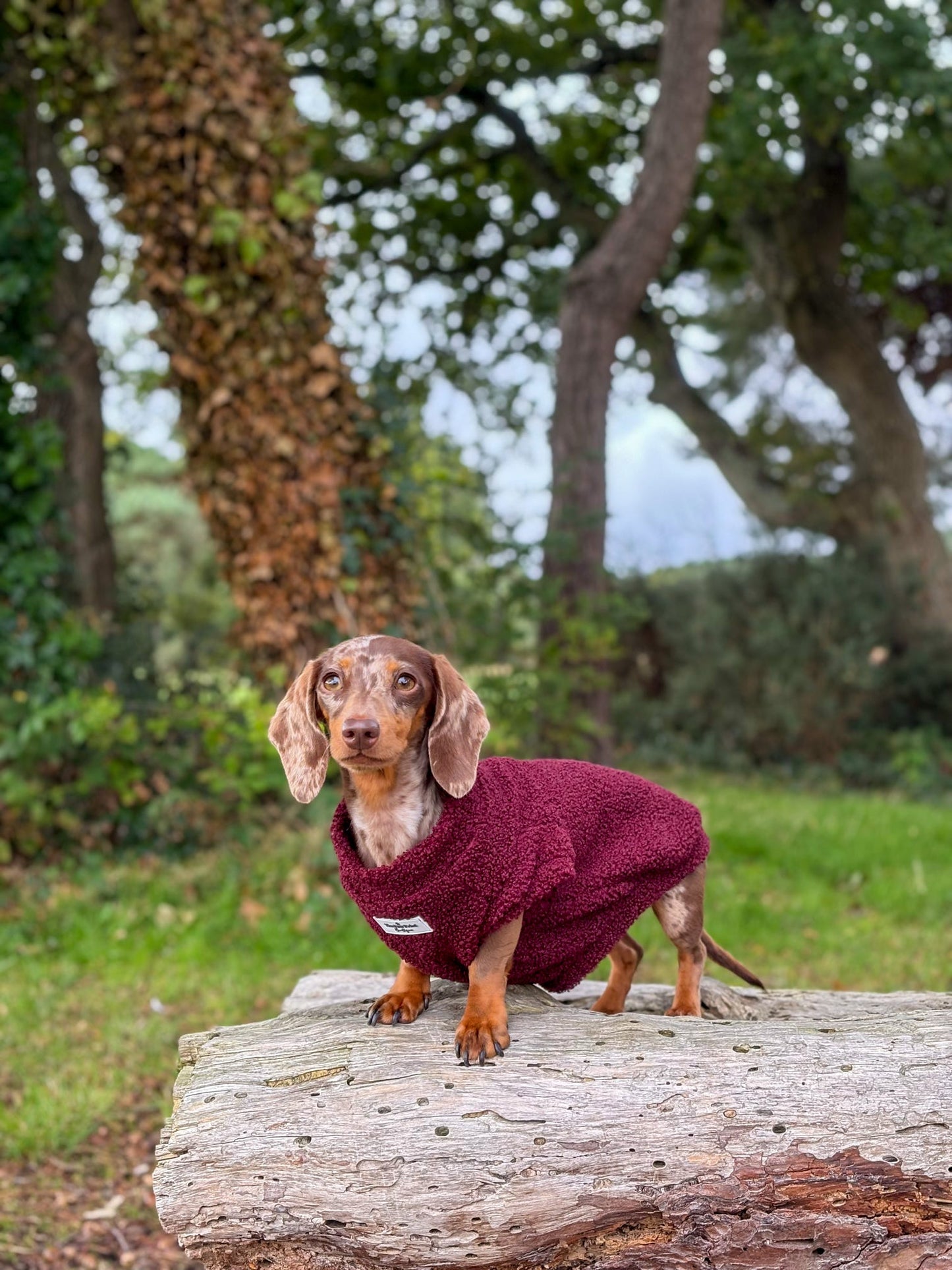 Teddy Fleece - Cherry