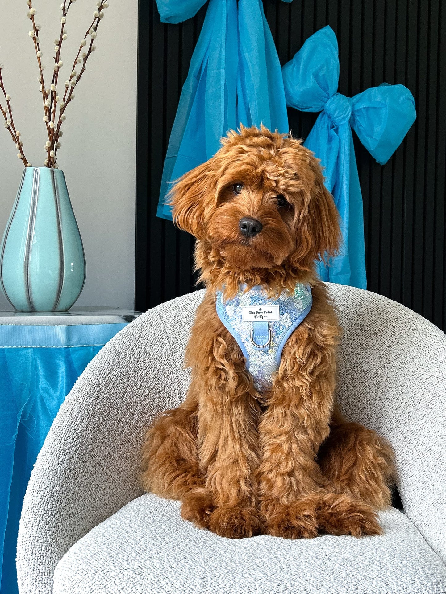 The Sassy in Sequins - Baby Blue Adjustable Harness