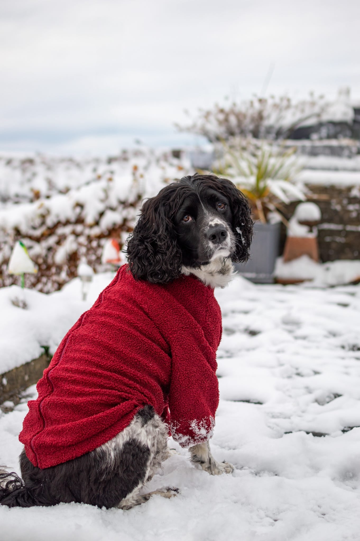 Teddy Fleece - Mulberry