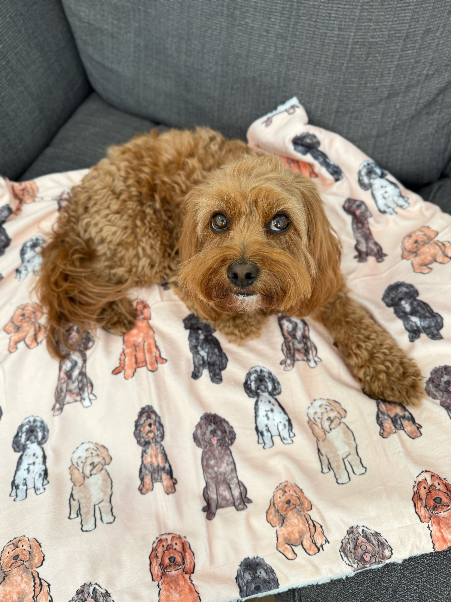 The Oodles & Doodles Dog Blanket