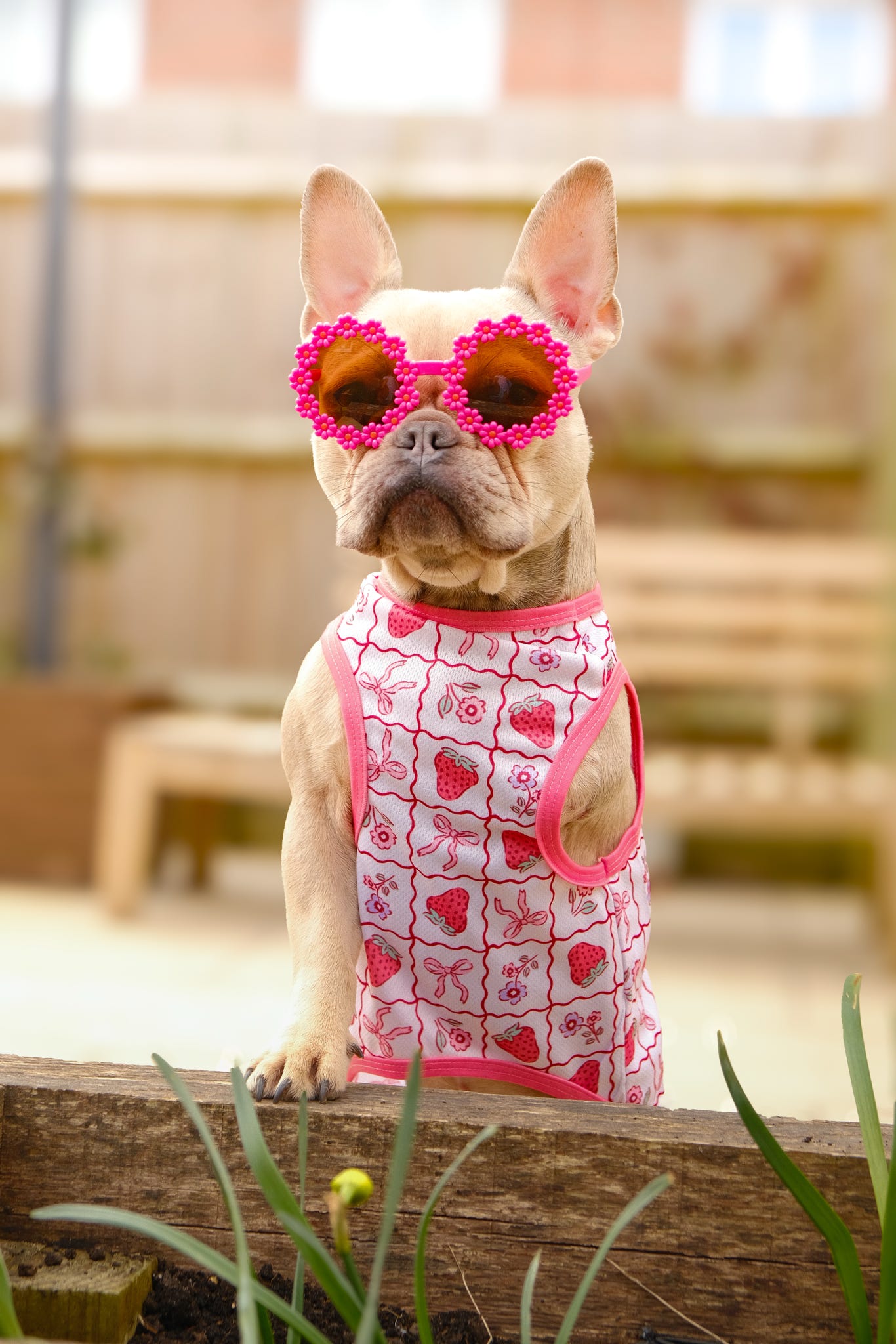 The Bows & Berries Cooling Vest