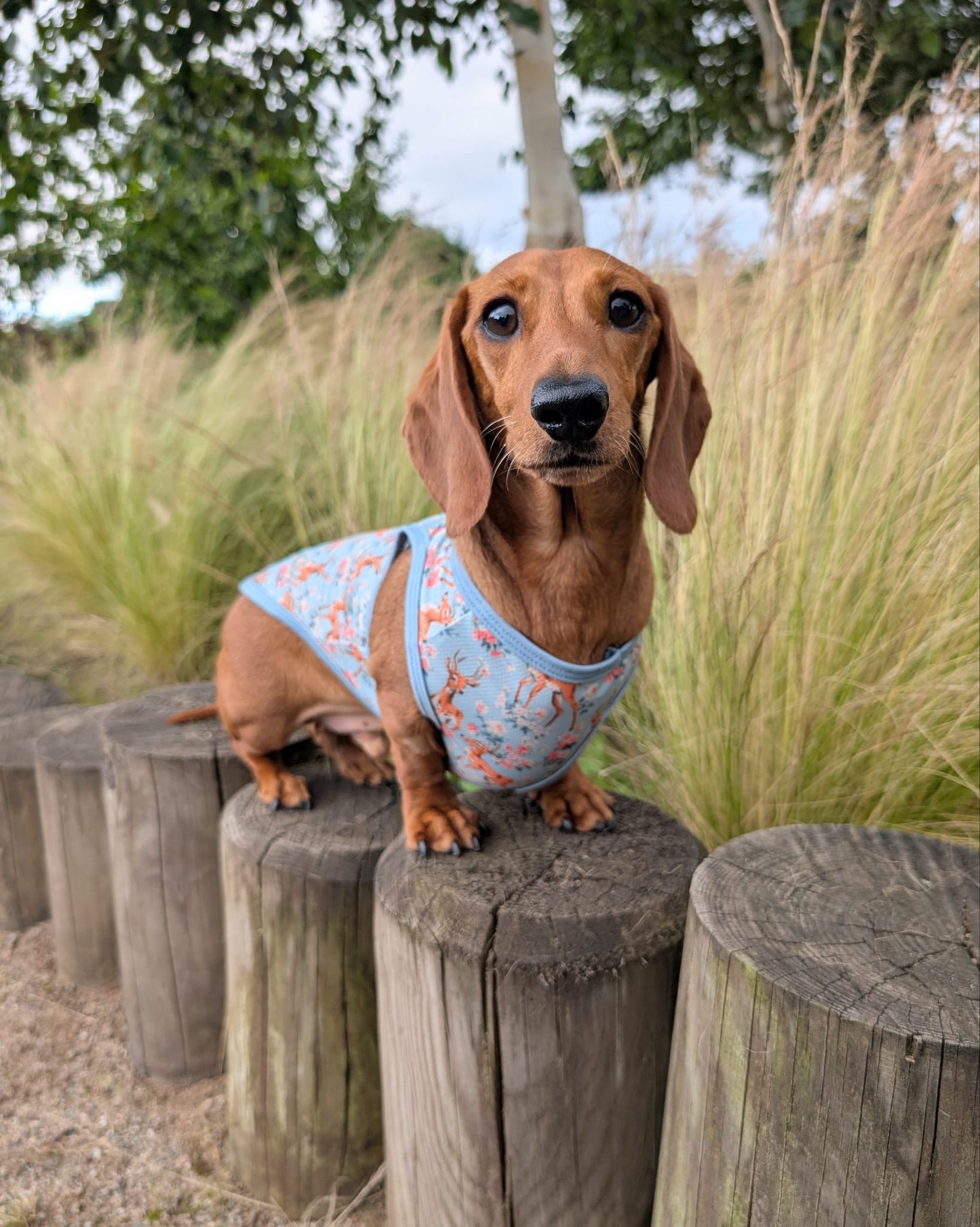 Bambi in Bloom Cooling Vest