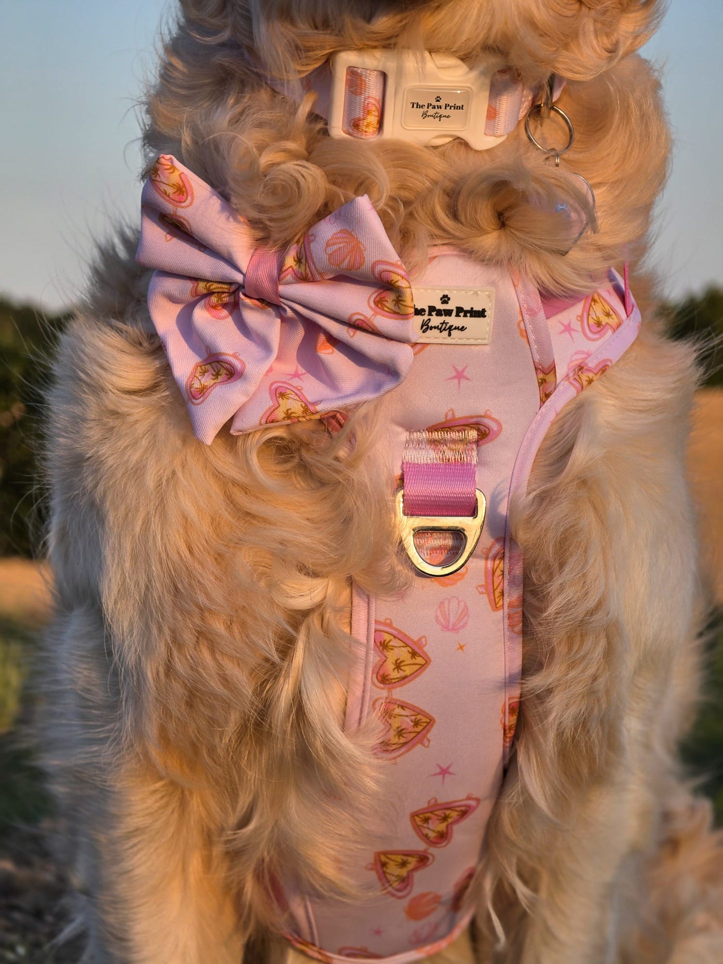 Miami Palms Bow Tie