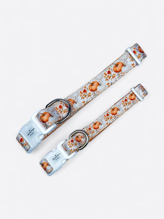 Pupkin Patch Collar