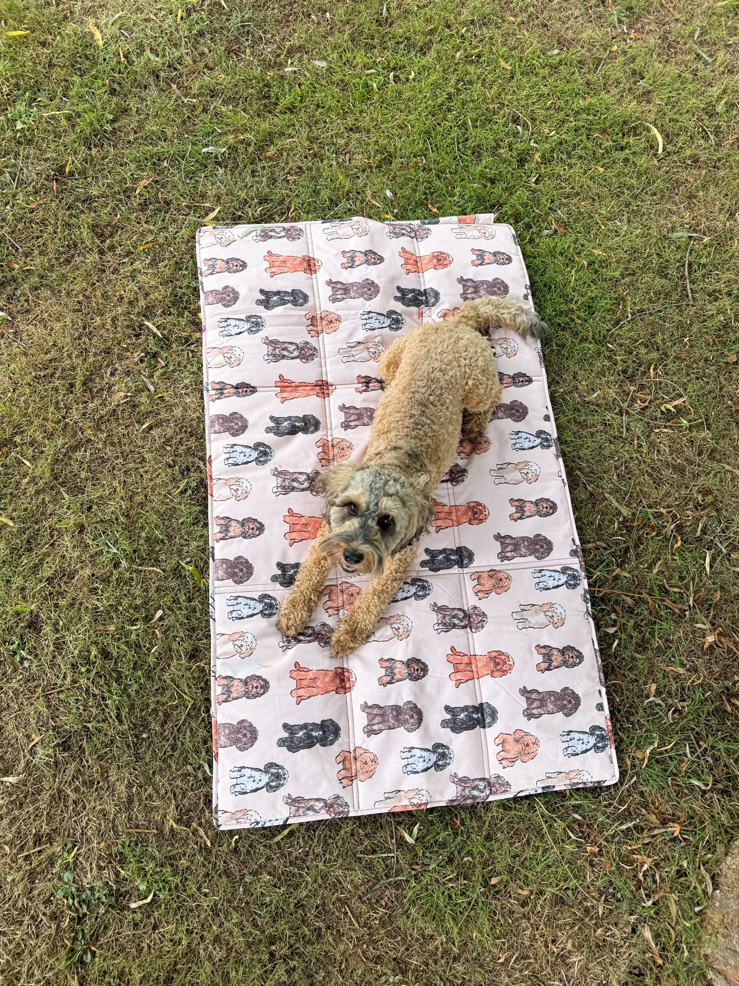 The Oodles & Doodles Travel Mat