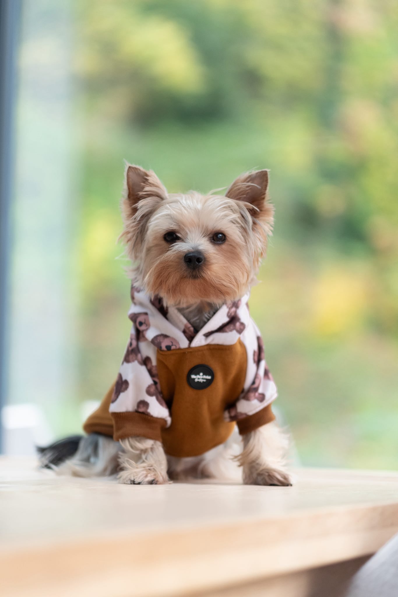 The Little Bear Cub Hoodie (Brown)