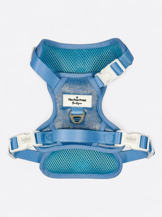 The Ocean Blue Adventure Paws Harness