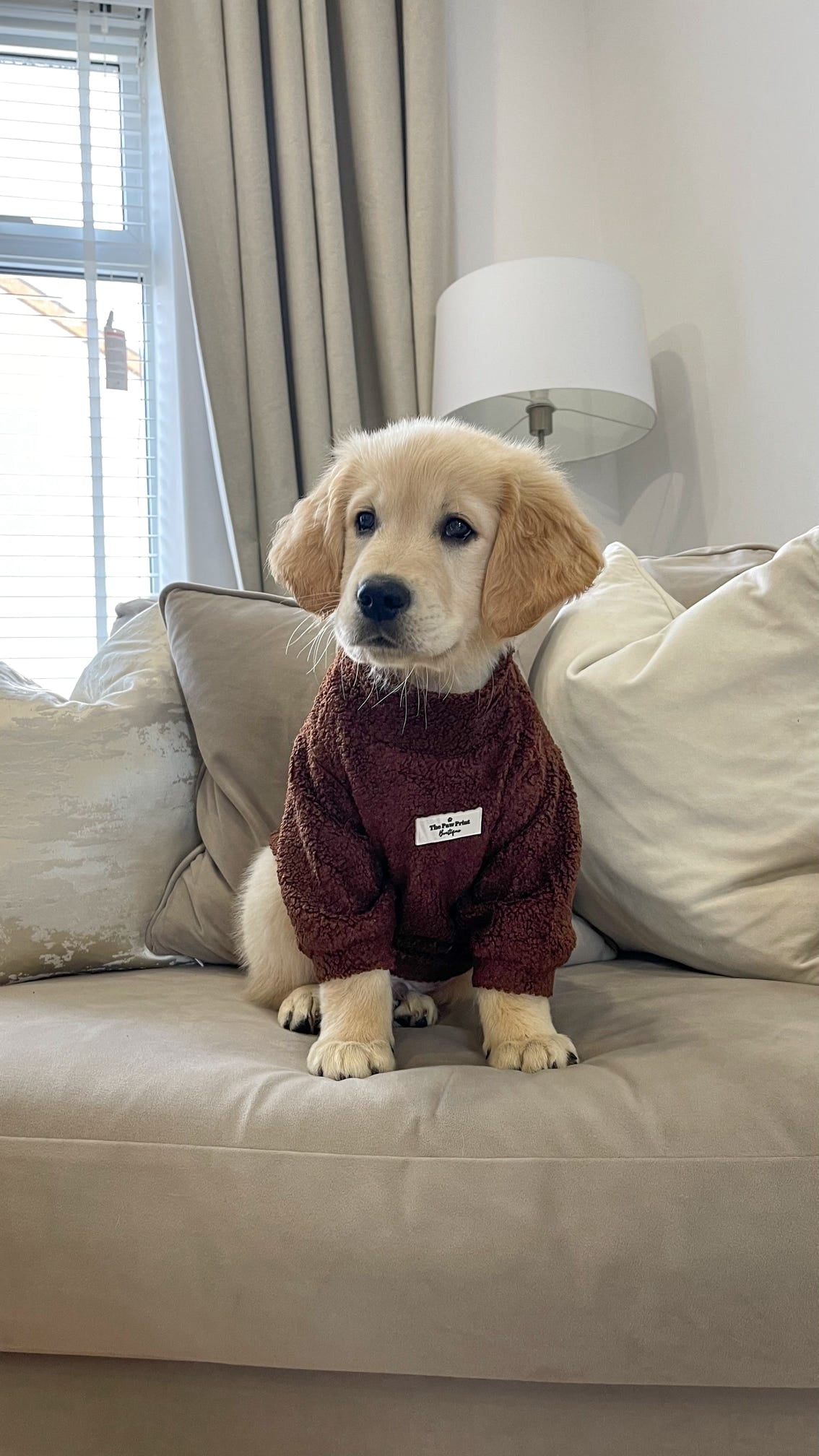 Teddy Fleece - Chocolate