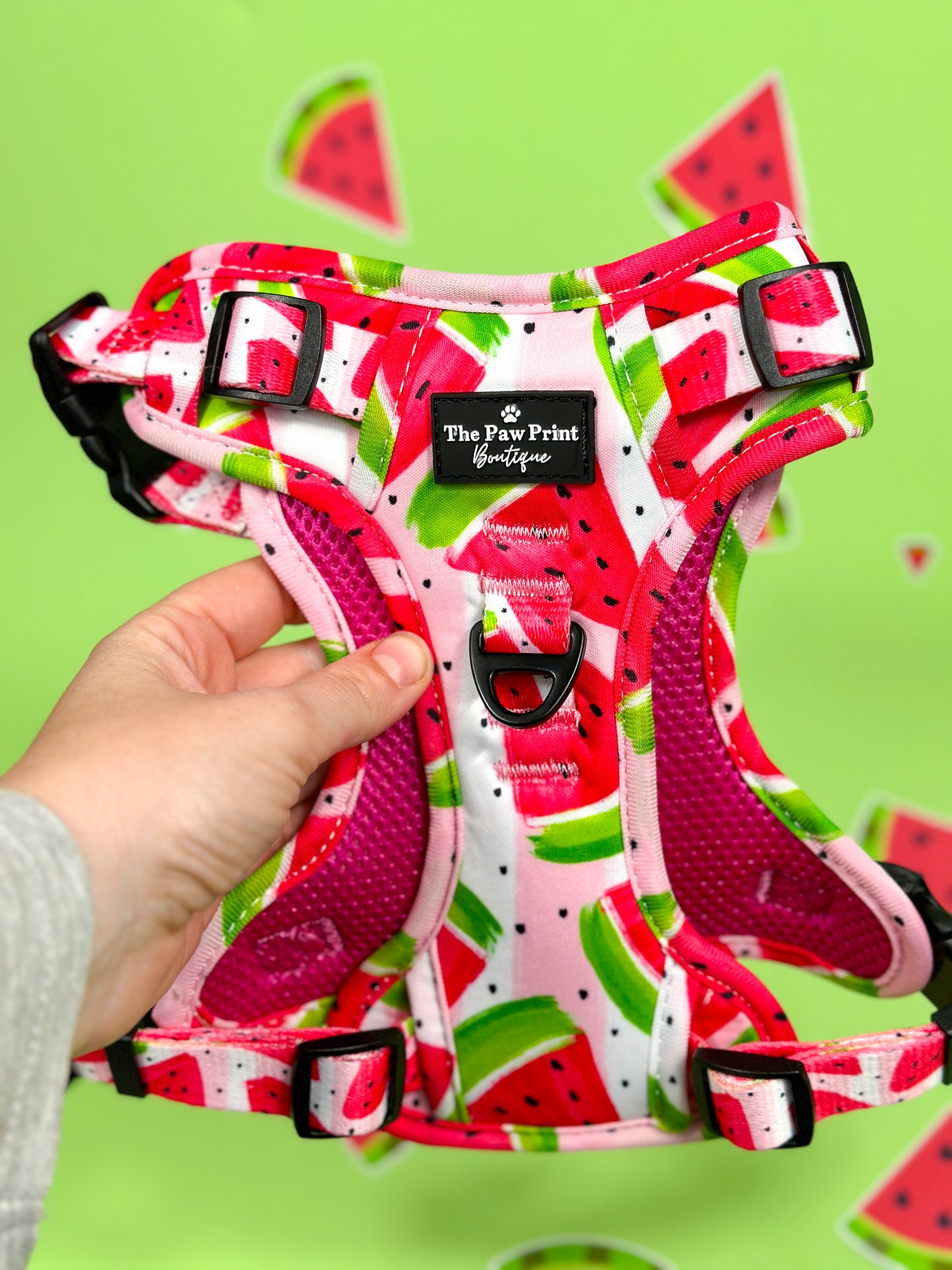 The Watermelon Sugar Adventure Paws Harness