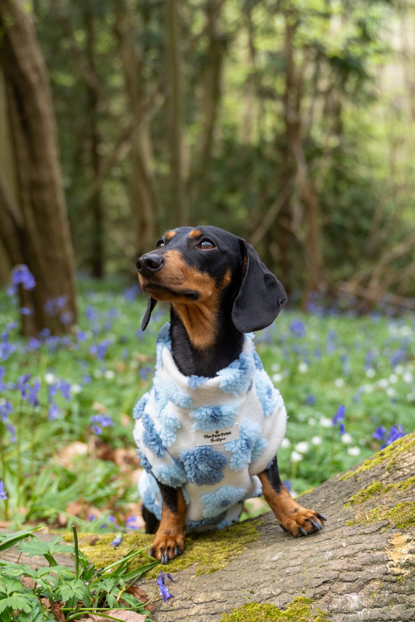 The Bluebell Blue Floral Fleece