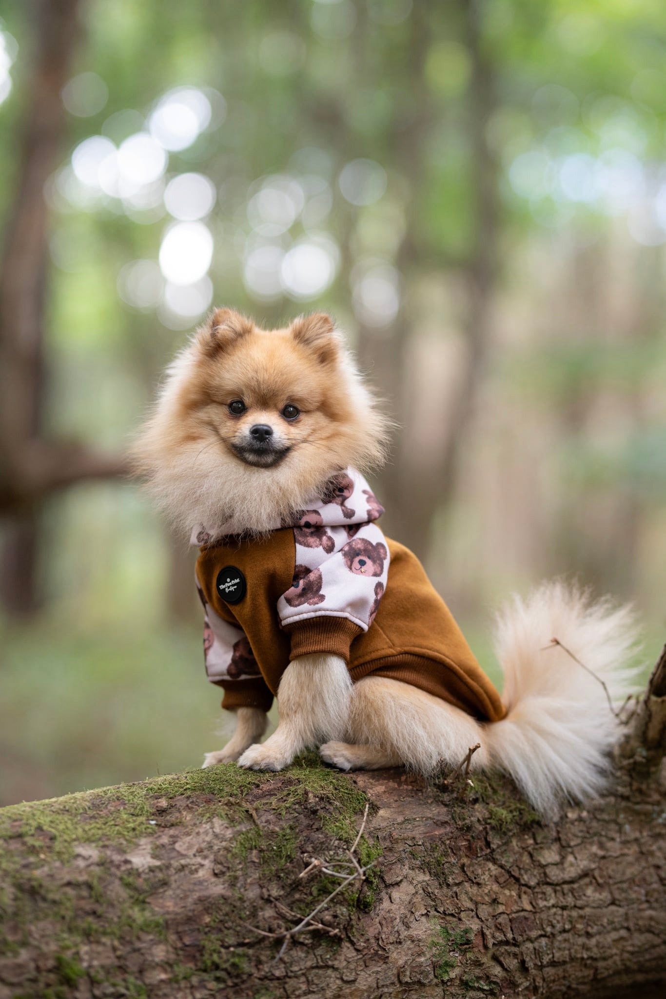 The Little Bear Cub Hoodie (Brown)
