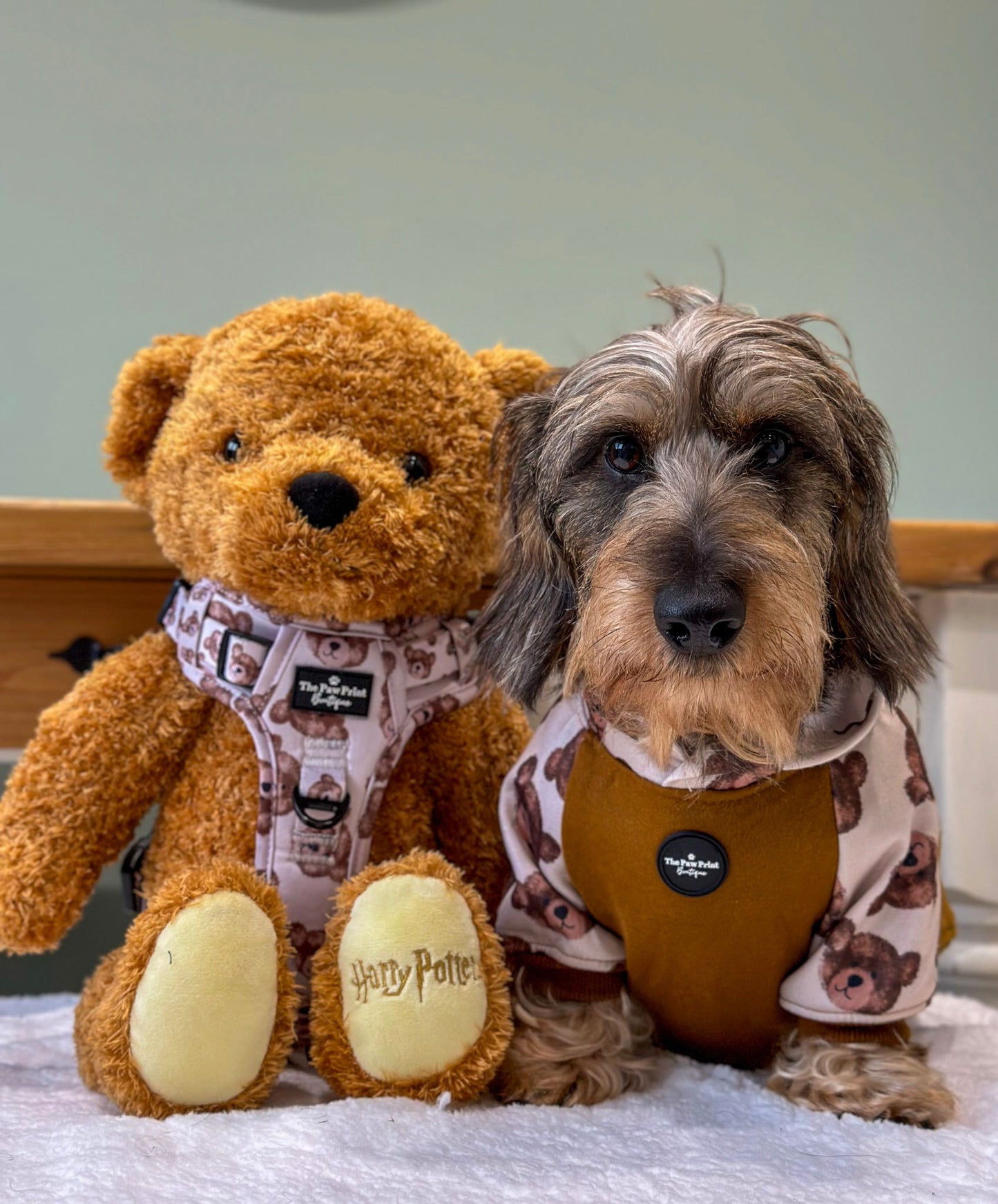 The Little Bear Cub Hoodie (Brown)