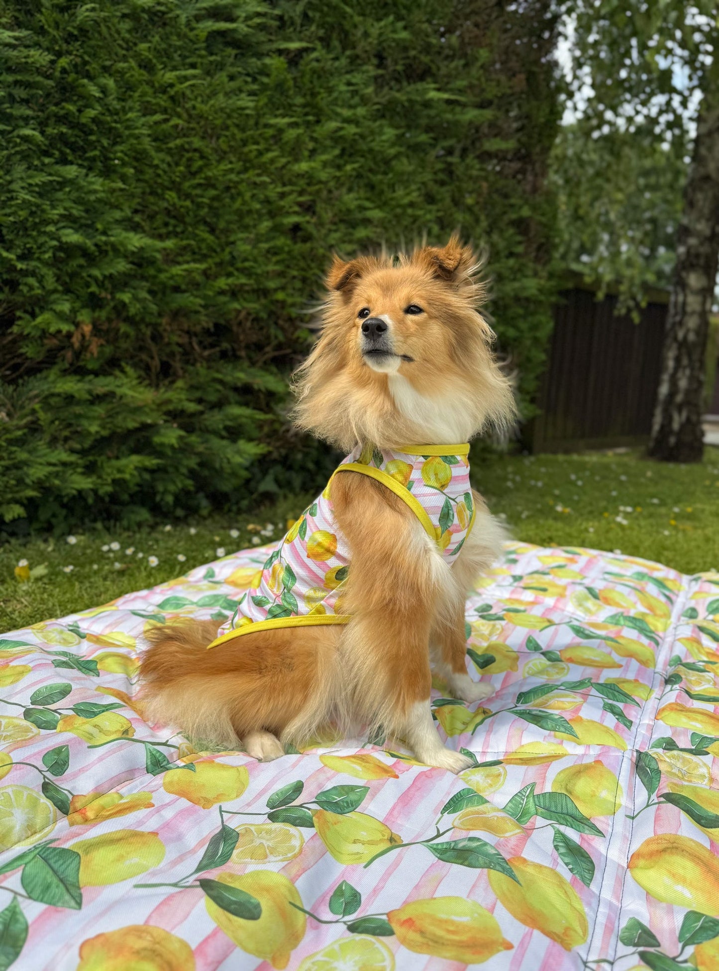 La Dolce Vita Cooling Vest