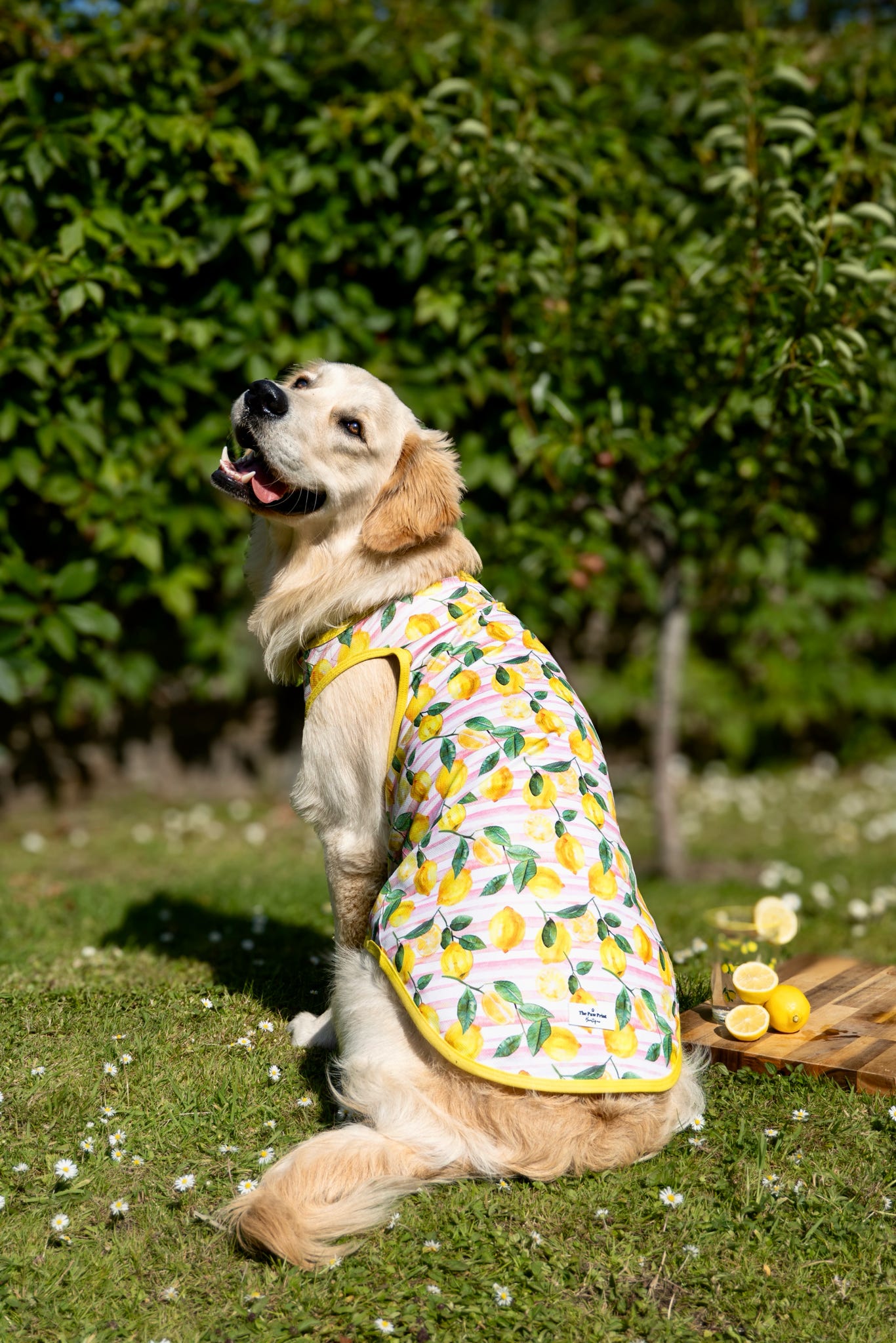 La Dolce Vita Cooling Vest