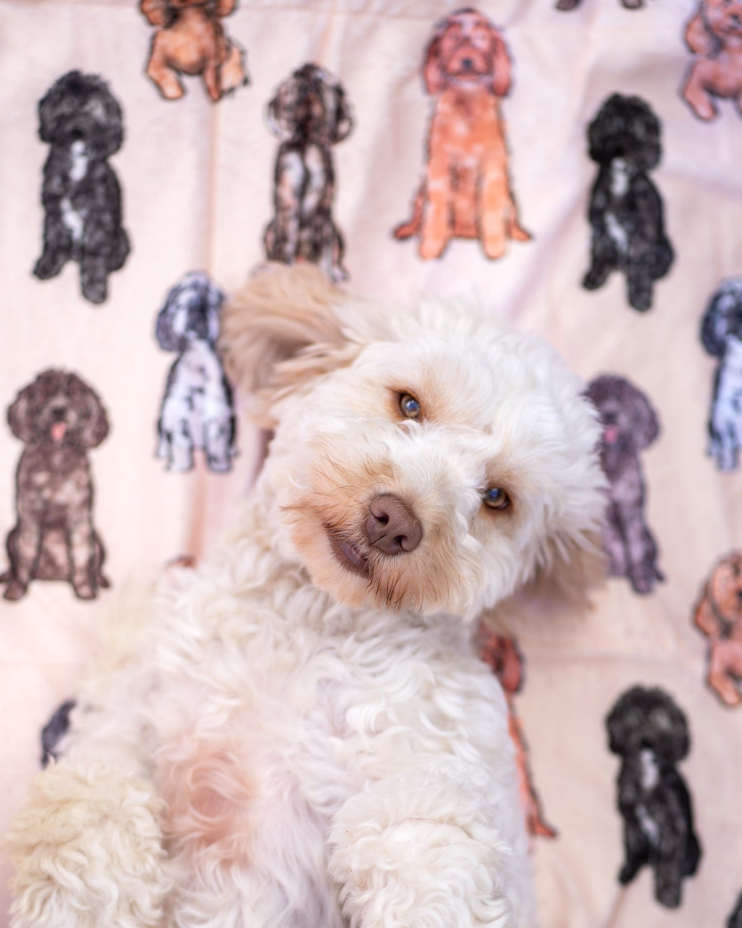 The Oodles & Doodles Dog Blanket