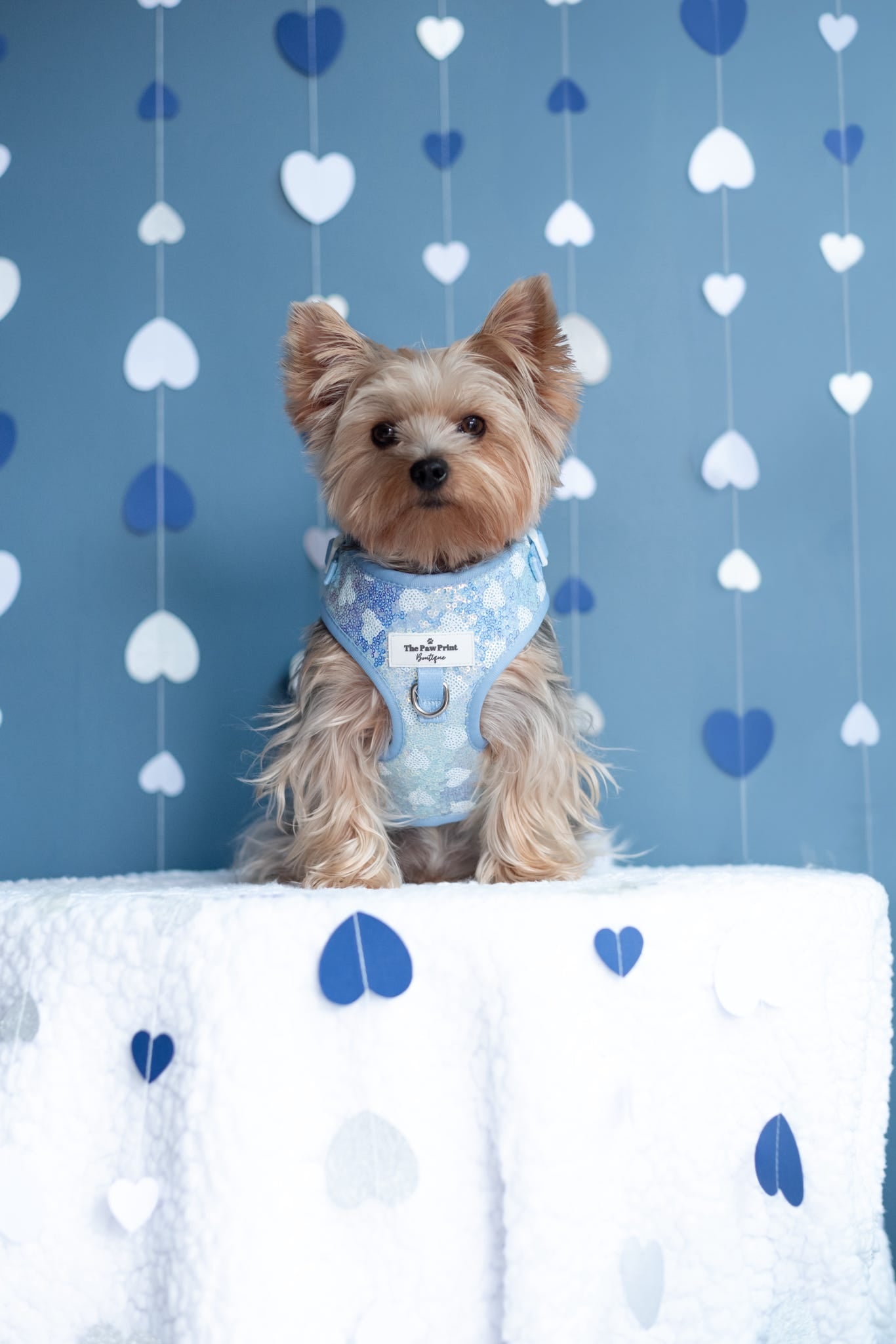 The Sassy in Sequins - Baby Blue Adjustable Harness