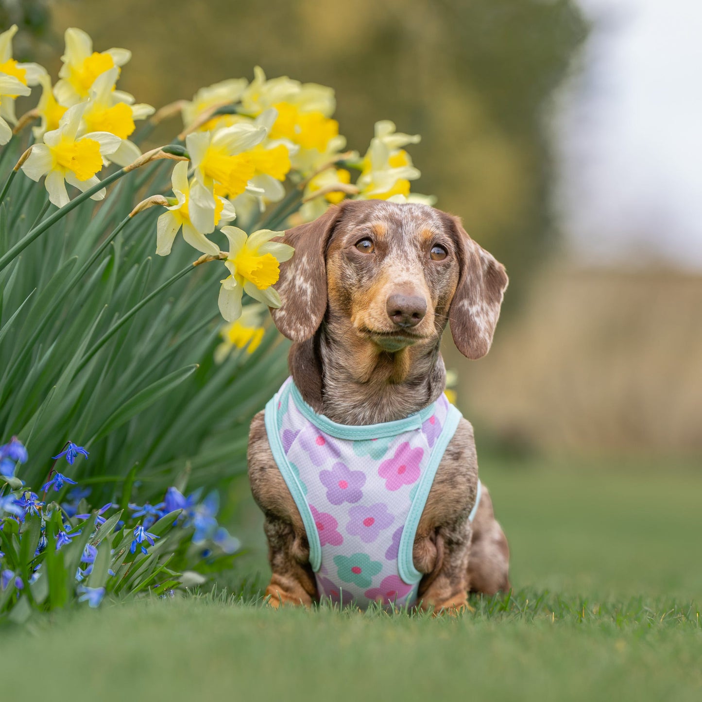 The Minty Meadows / Flower Power Cooling Vest