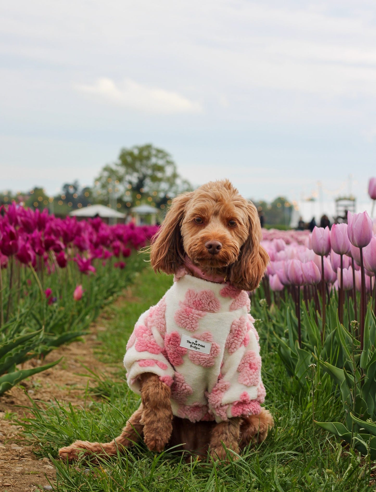The Peony Pink Floral Fleece