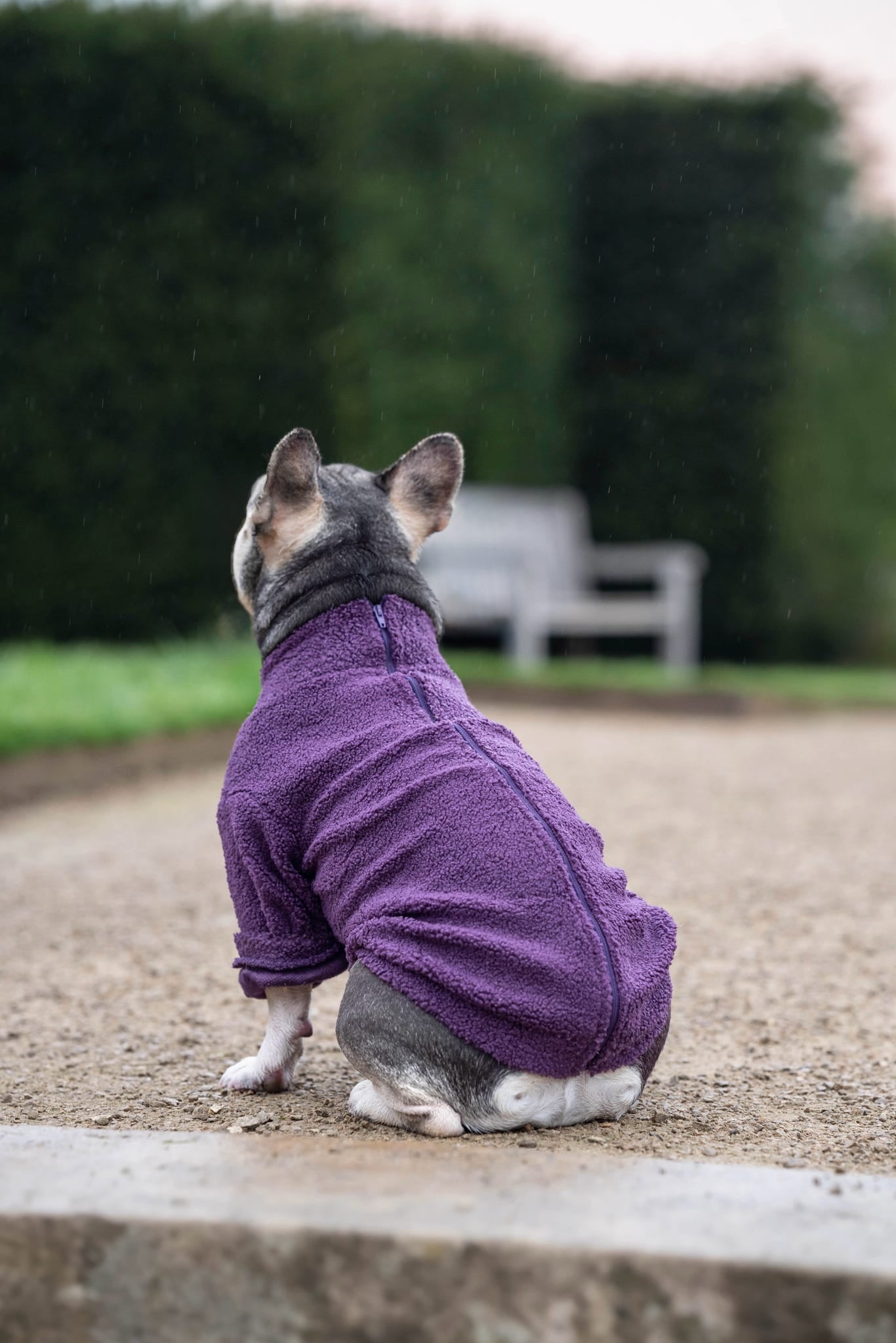 Teddy Fleece - Plum