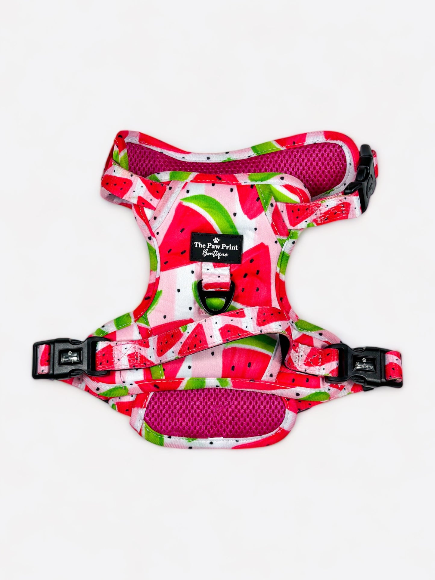 The Watermelon Sugar Adventure Paws Harness